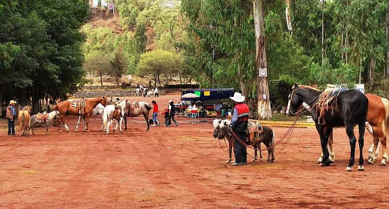 El Bosque de Nativitas está ubicado en la alcaldía Xochimilco, en el lugar se pueden realizar diversas actividades deportivas y montar a caballo. (Foto: Facebook/ Bosque de Nativitas)