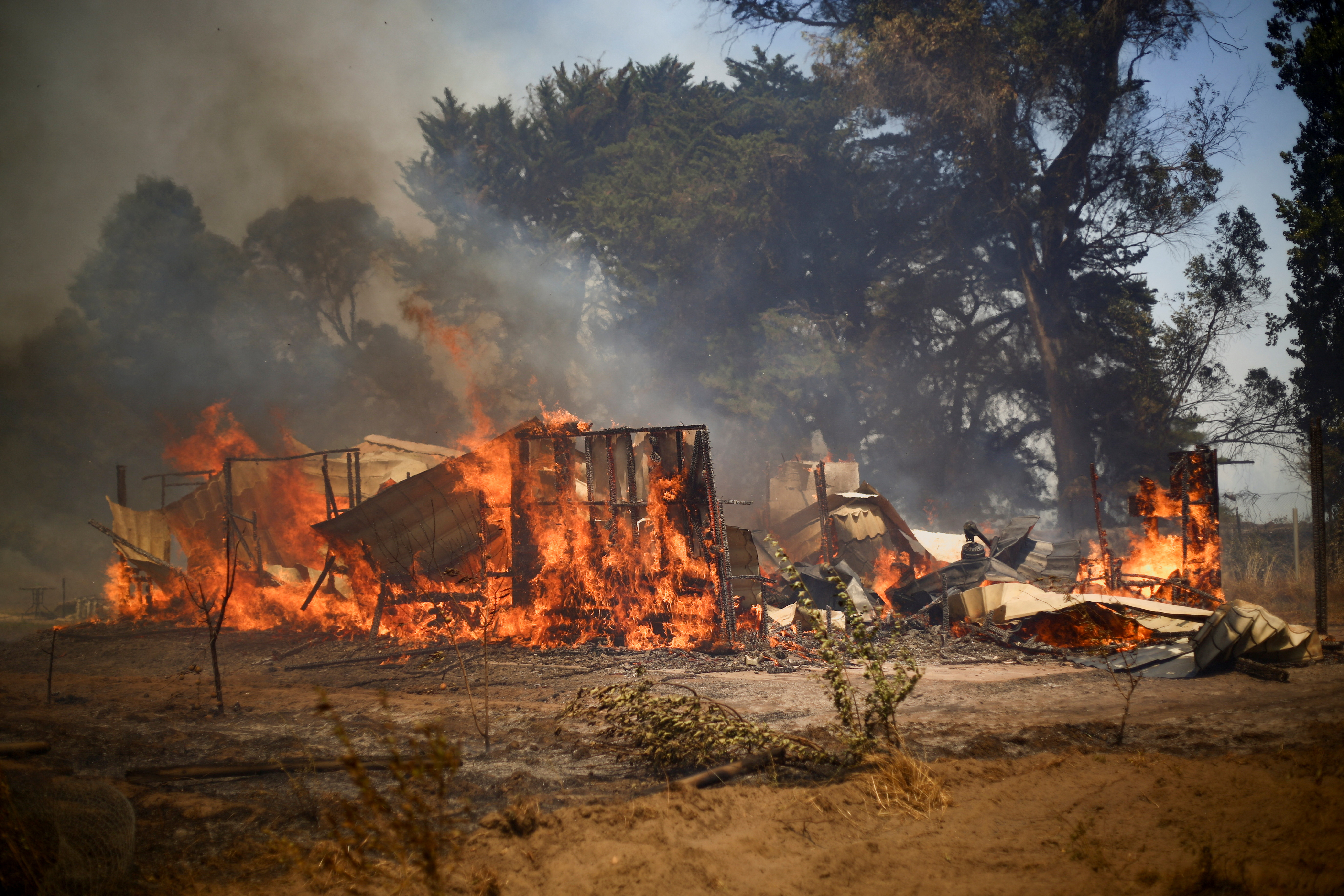 Las llamas han destruido más de 8.000 hectáreas en la región Biobío (REUTERS/Mauricio Ulloa Gant)