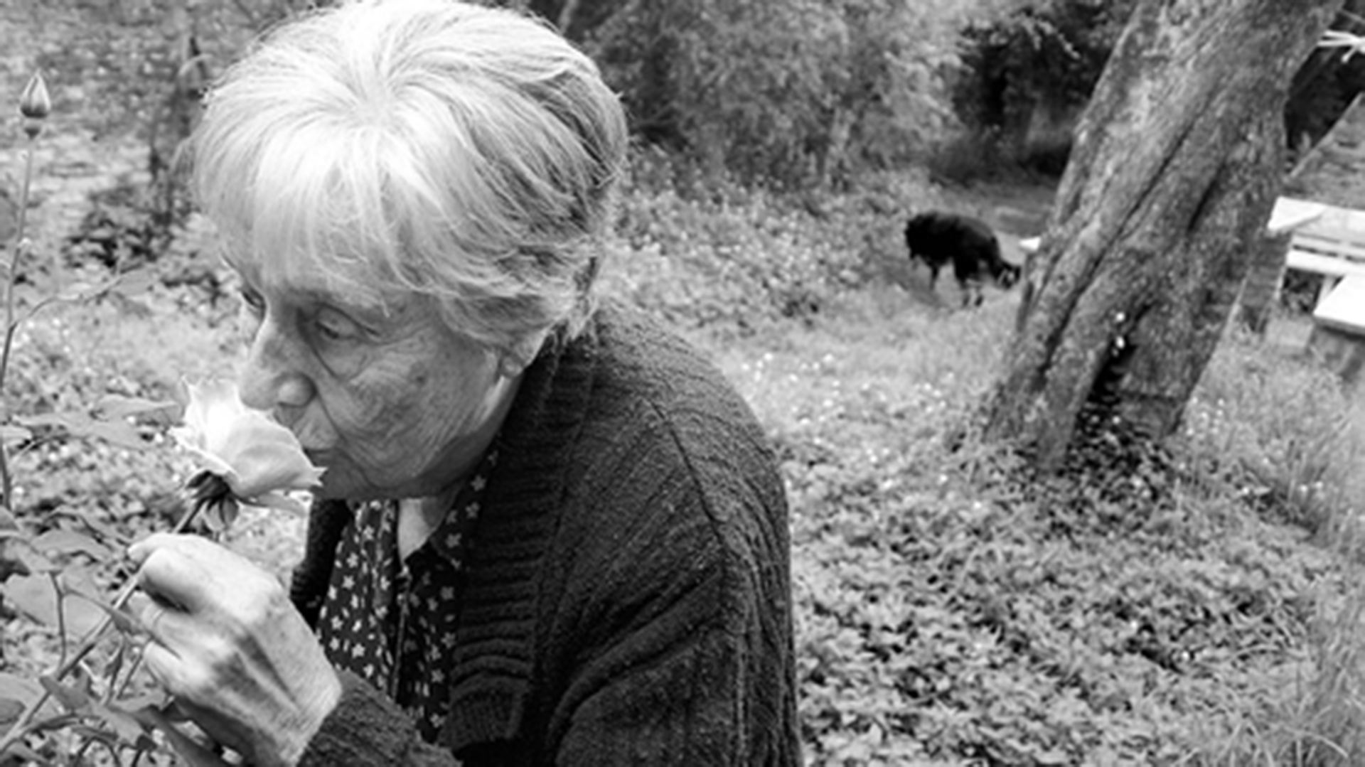 La poeta uruguaya Circe Maia recibió el Premio Iberoamericano de Poesía Pablo Neruda 2026