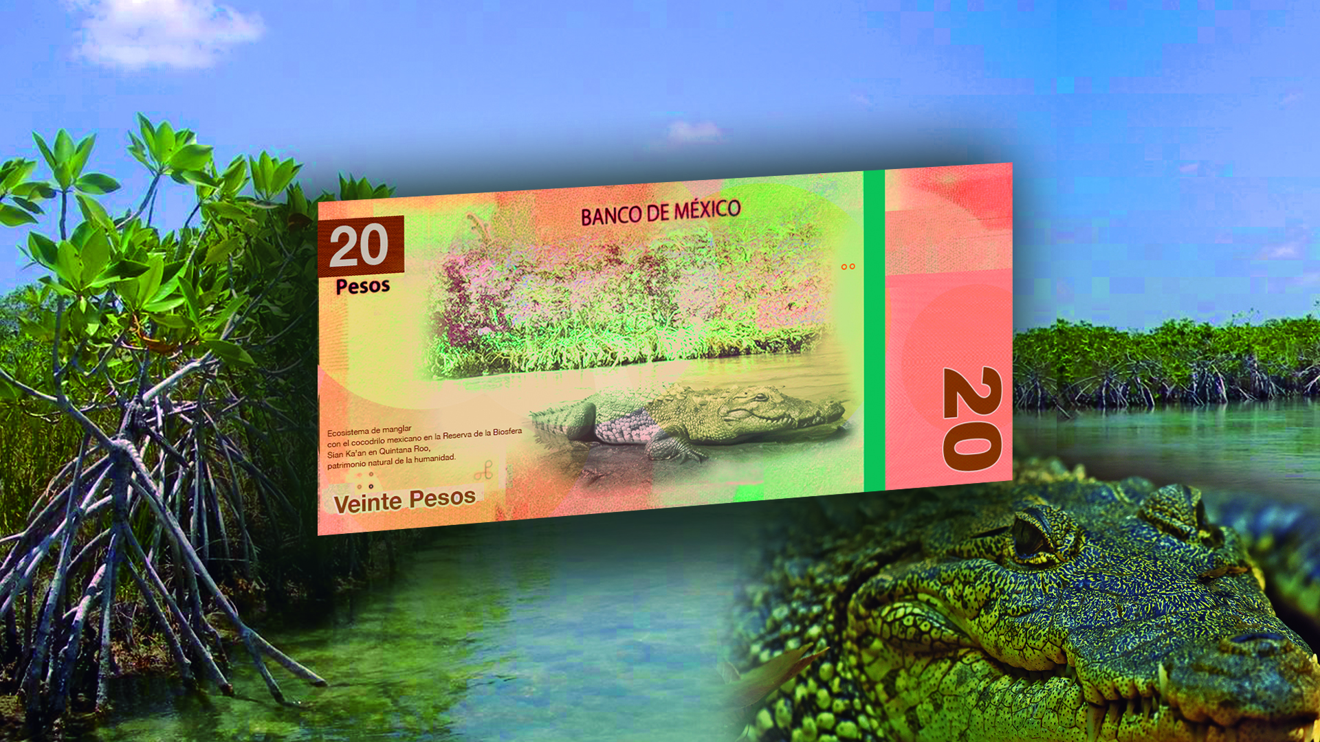 Adiós a Juárez y Morelos: se filtraron los posibles nuevos billetes de 20 y 50 pesos