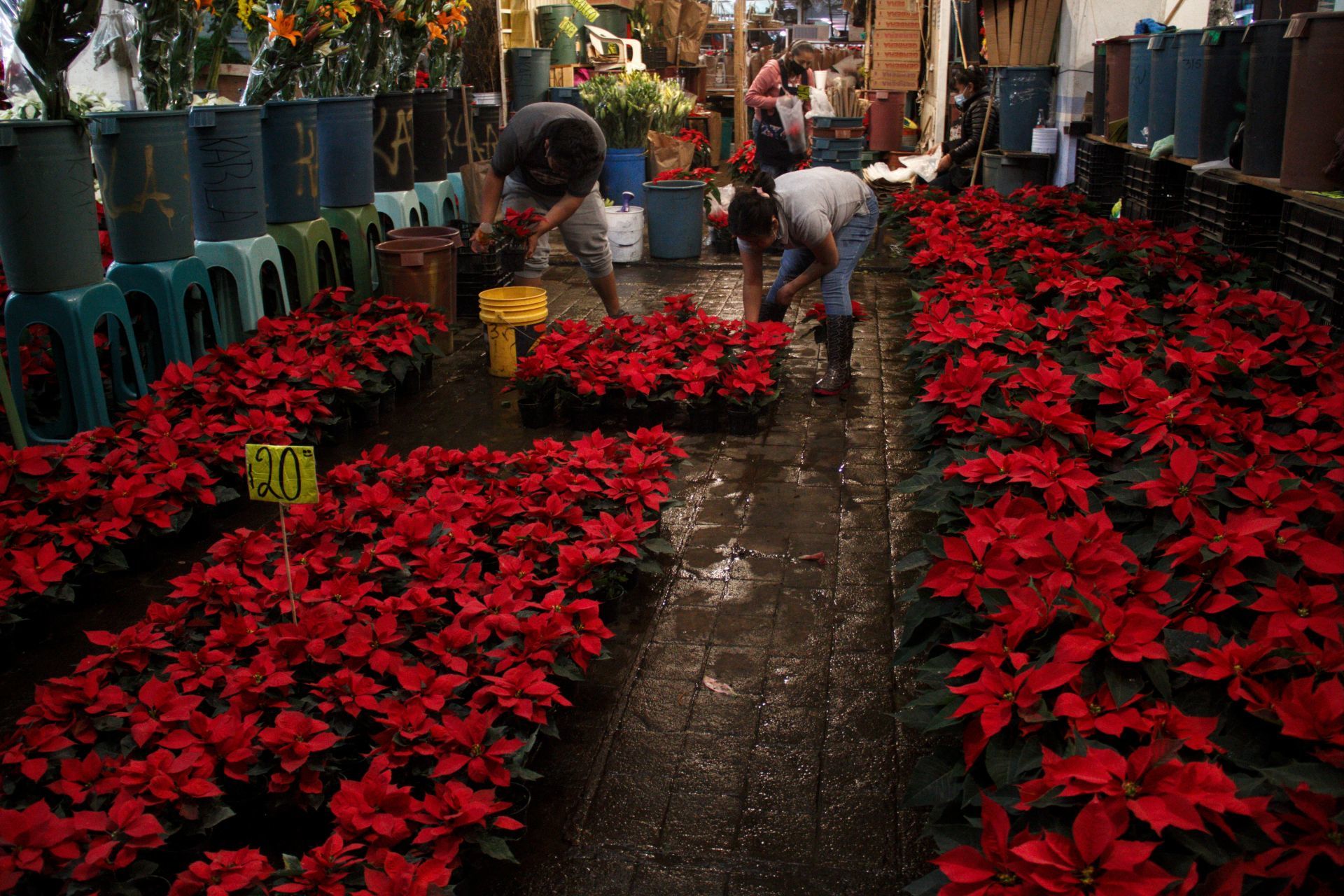 Ciudad de México, 1 de diciembre de 2020.