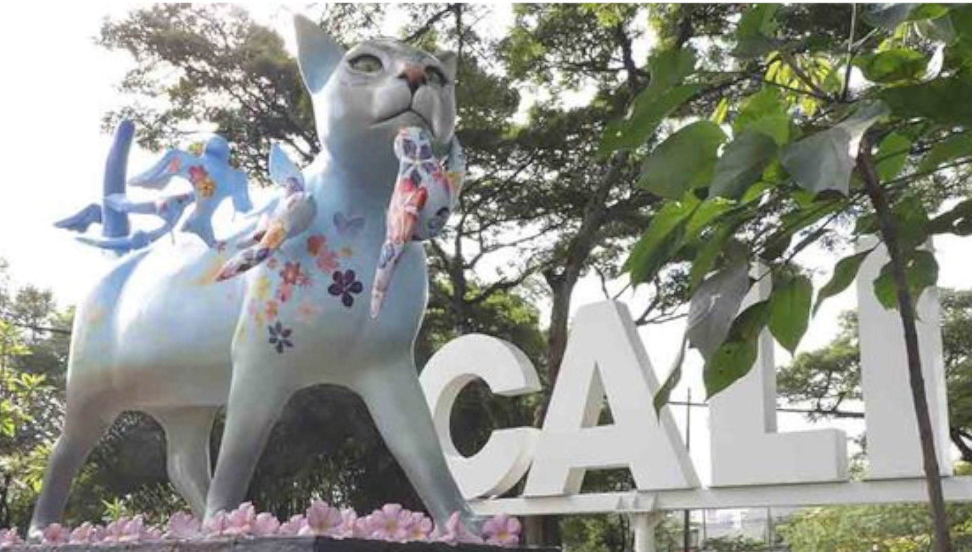 editorial Preludio preparar Una gata de casi dos metros le da la bienvenida a los viajeros que llegan a  Cali - Infobae