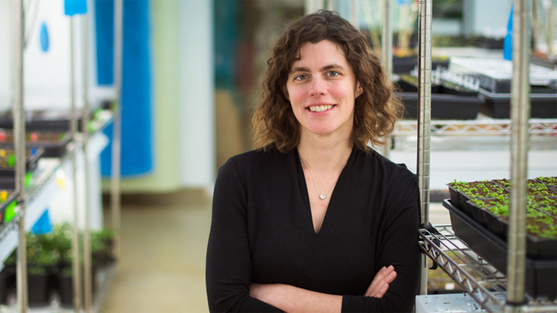 Mary Gering is associate professor of biology and a member of the MIT Whitehead Institute for Biomedical Research (Credit: MIT)