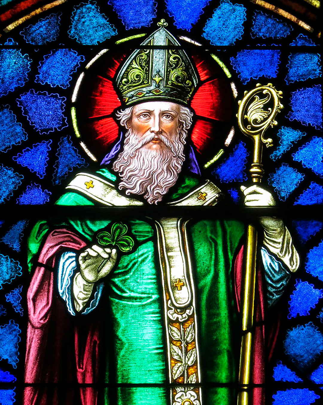 Patricio viajó a Roma y el Papa Celestino I, alrededor del año 423, lo envió a Irlanda para predicar la palabra de Dios