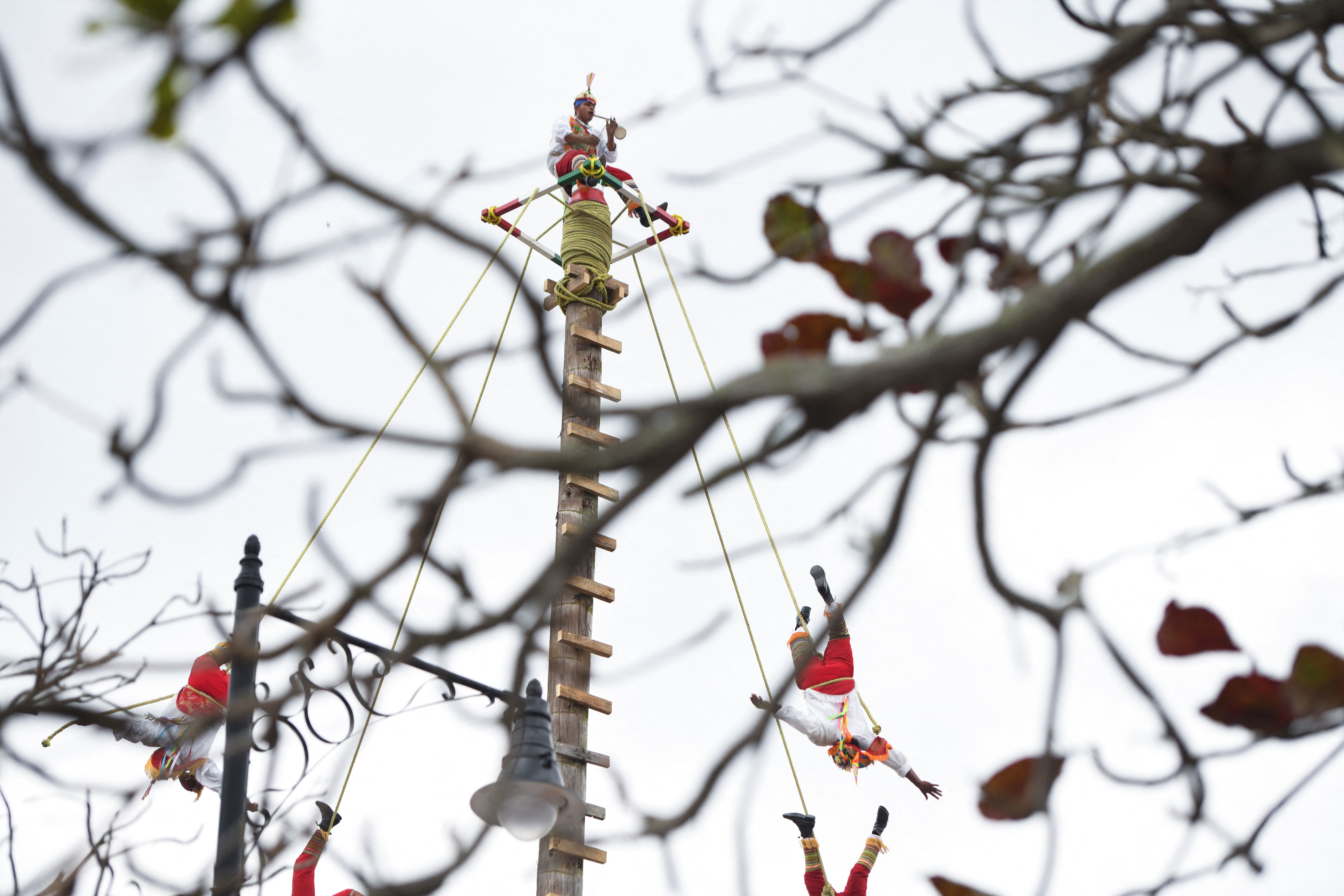 Celebración de la "Virgen de la Candelaria". Espectáculo de los voladores de Papantla.