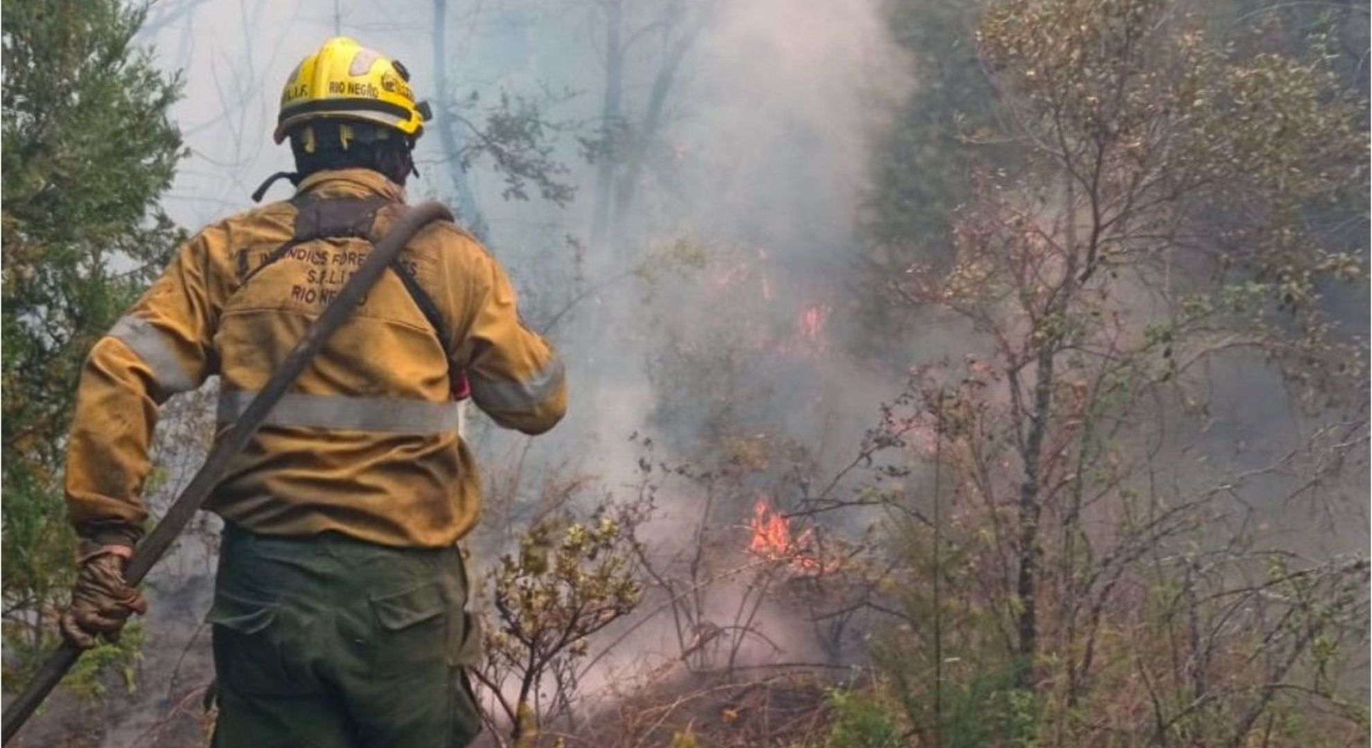 Identificaron a los autores del incendio en El Bolsón: hay más de 100 casas destruidas y declararon la emergencia 