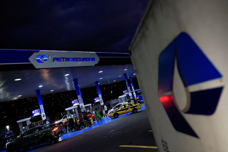 Secuestraron más de 5 toneladas de hojas de coca en dos operativos en Salta y Córdoba