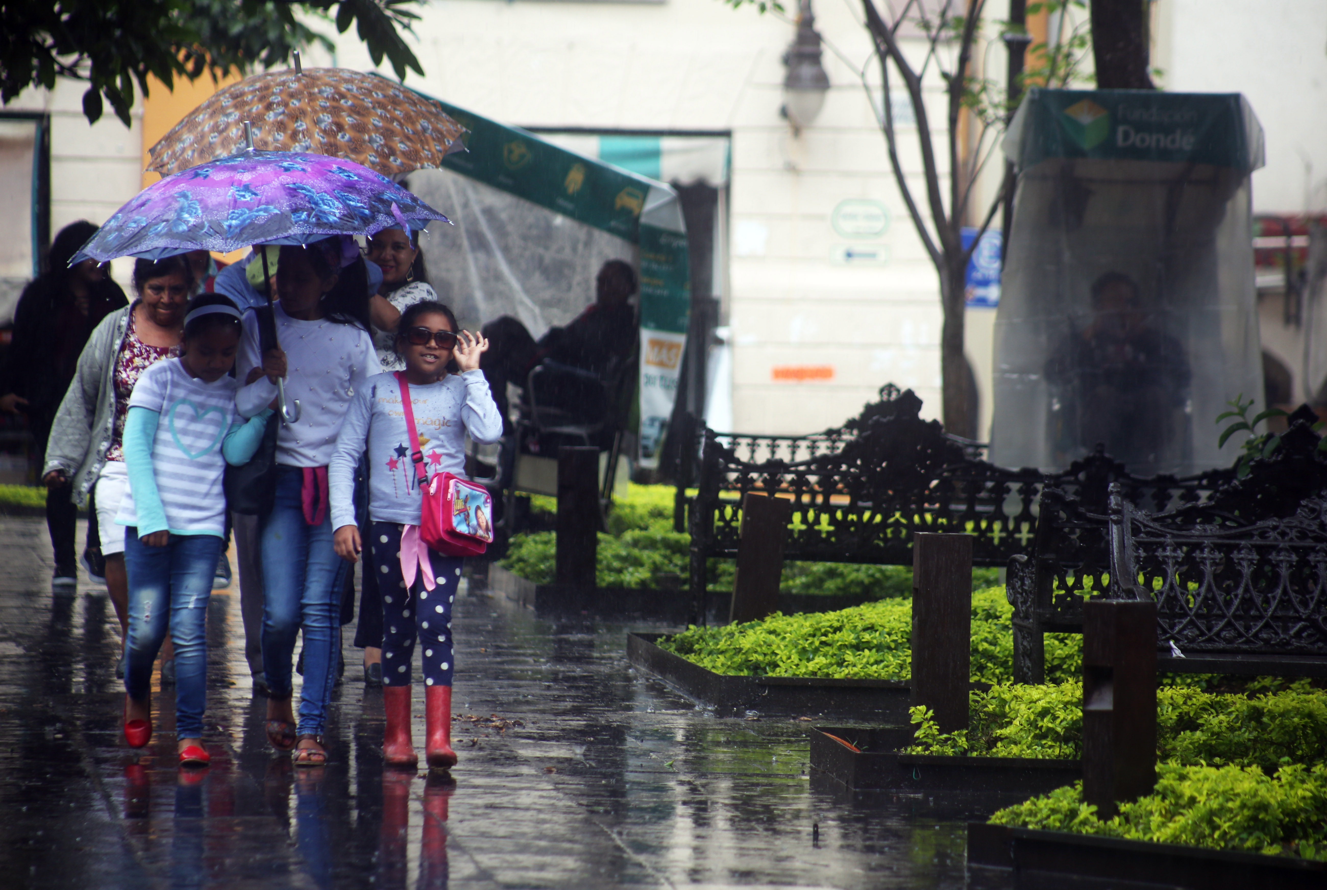 Personas caminando bajo la lluvia (Foto: MARGARITO PÉREZ RETANA /CUARTOSCURO)