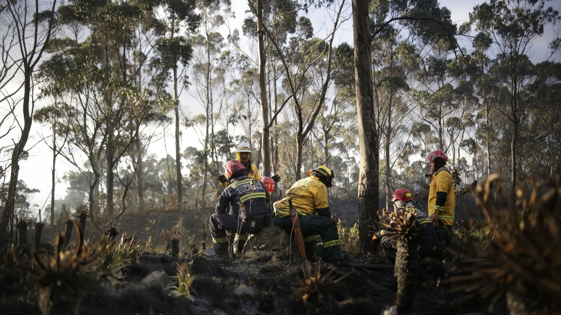 Después de las lluvias llegaría el fenómeno de El Niño a Colombia: se anuncian sequías e incendios forestales