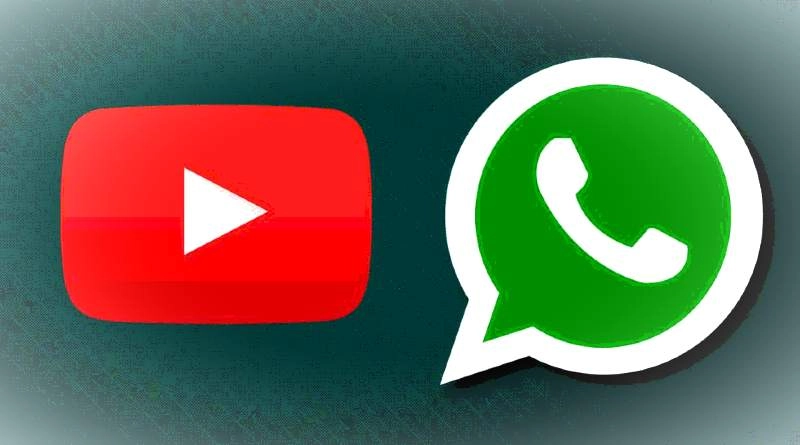 WhatsApp y YouTube. (foto: TreceBits)