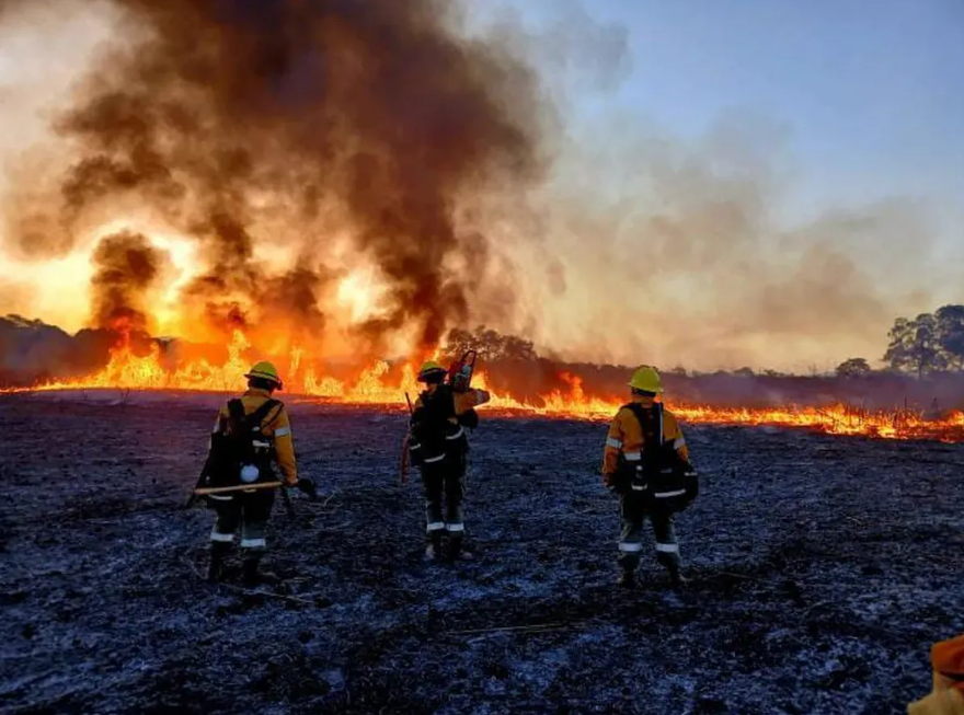 Cortes de luz, ca&iacute;da de &aacute;rboles y destrozos: lo que dej&oacute; el viento zonda en Jujuy