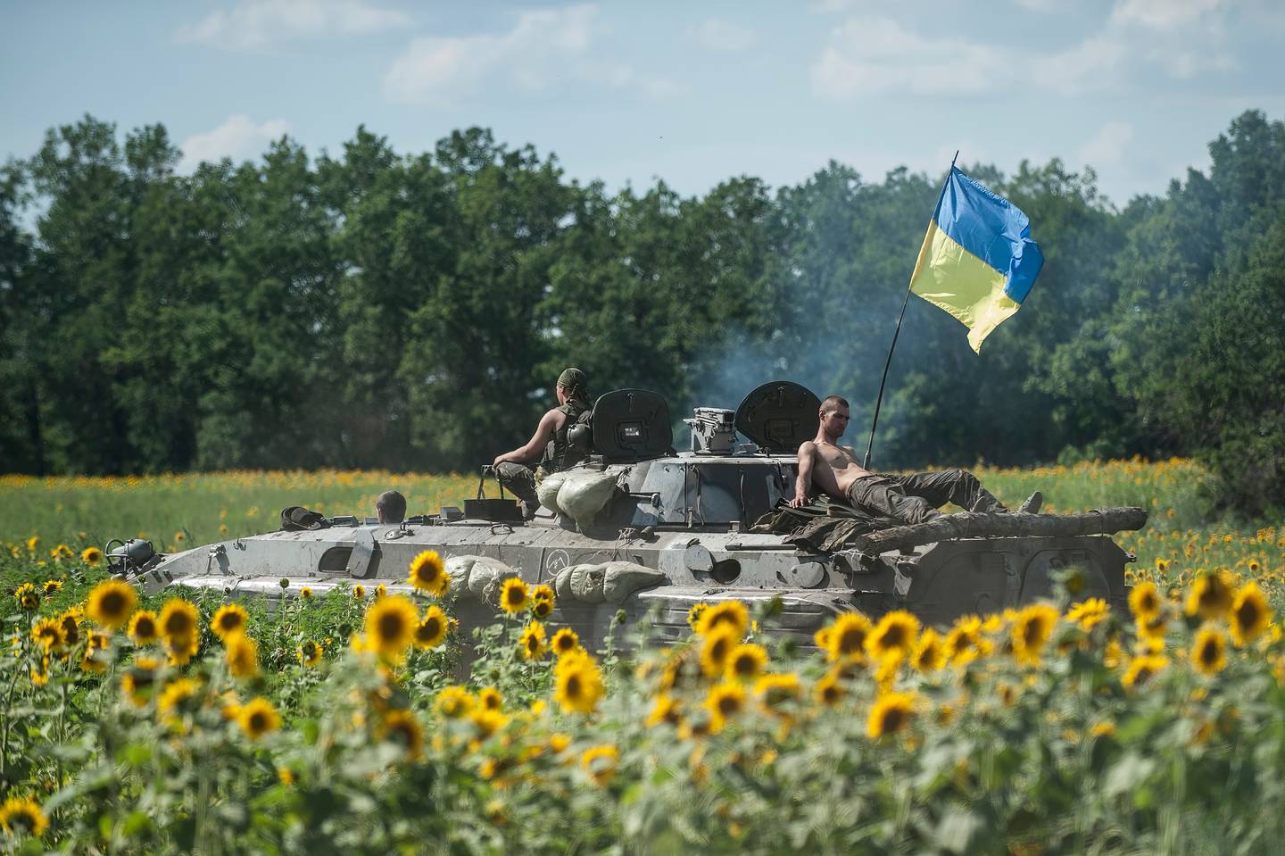 Una plantación de girasol y un tanque, al principio de la guerra en Ucrania