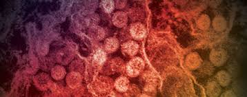 Desde 2012 se han notificado casos del coronavirus MERS en 27 países: Alemania, Arabia Saudita, Argelia, Austria, Bahrein, China, Egipto, Emiratos Árabes Unidos, Estados Unidos de América, Filipinas, Francia, Grecia, Italia, Jordania, Kuwait, Líbano, Malasia, Omán, Países Bajos, Qatar, Reino Unido, República de Corea, República Islámica de Irán, Tailandia, Túnez, Turquía y Yemen.
Aproximadamente un 80% de los casos humanos se han notificado en Arabia Saudita. Los casos identificados fuera de Oriente Medio corresponden generalmente a viajeros infectados en esta región. Aunque hubo pocos caso, hubo brotes fuera de Oriente Medio.
