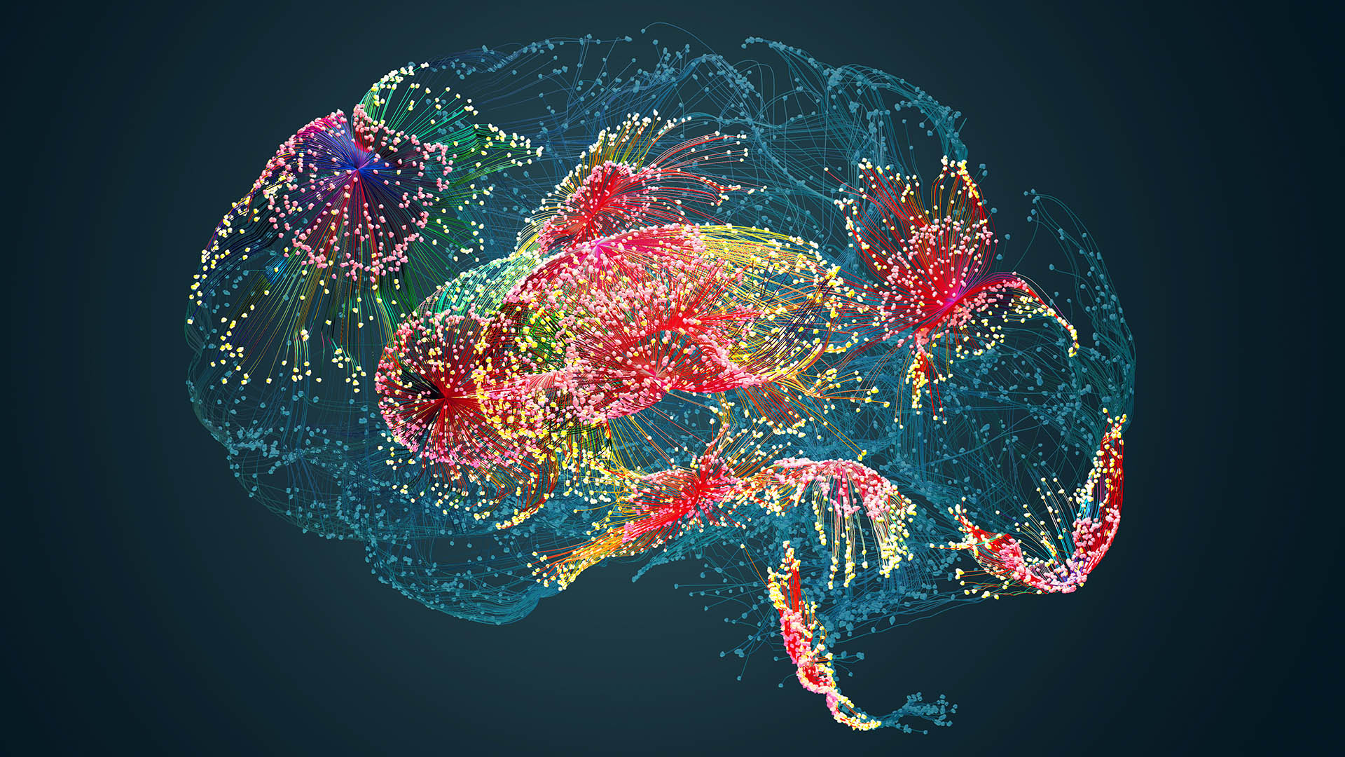 Los avances en el estudio del cerebro y su funcionamiento prometen ser más amplios gracias a la IA