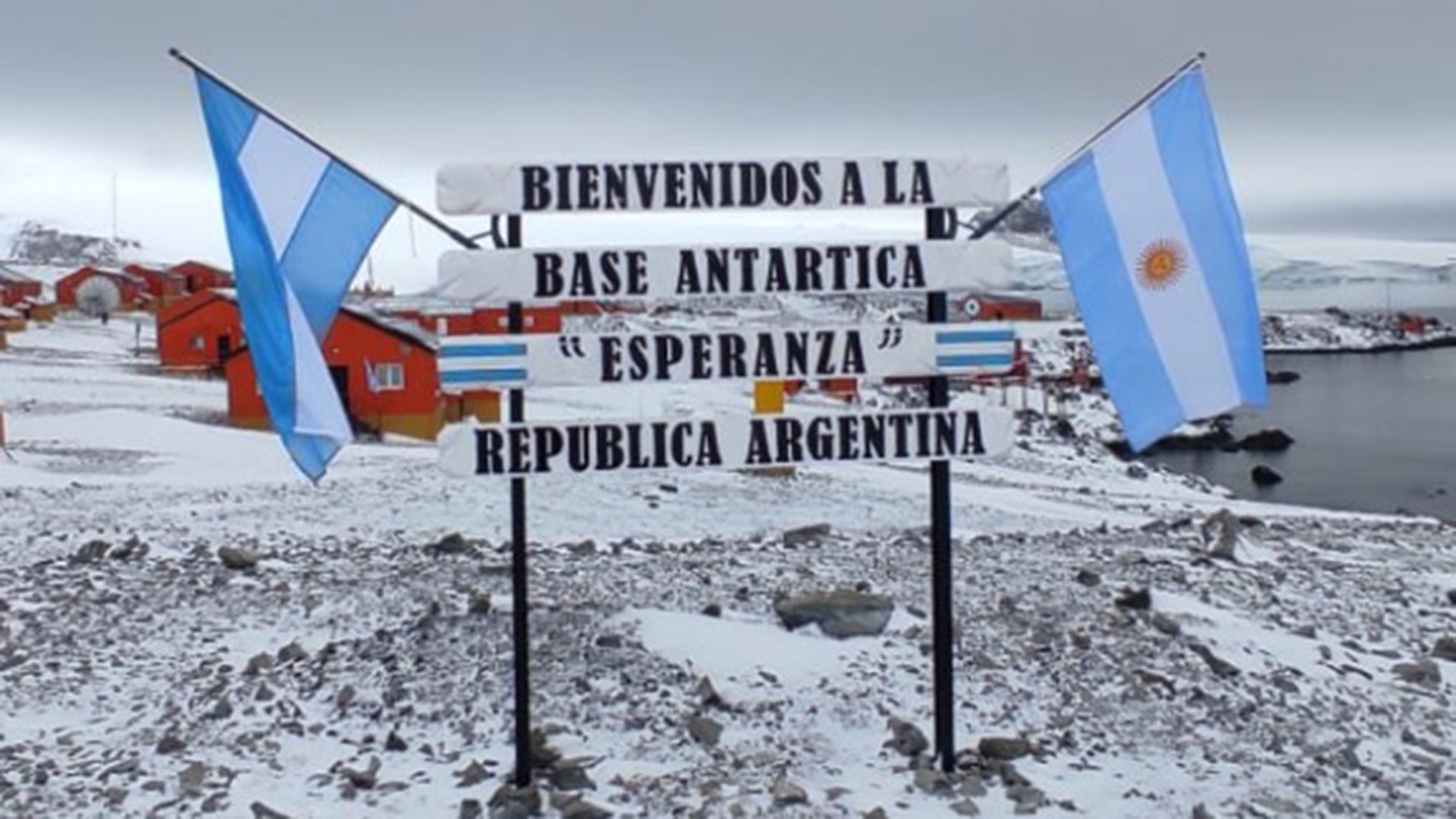 Cada año, la población se renueva por completo. Ahora son 62