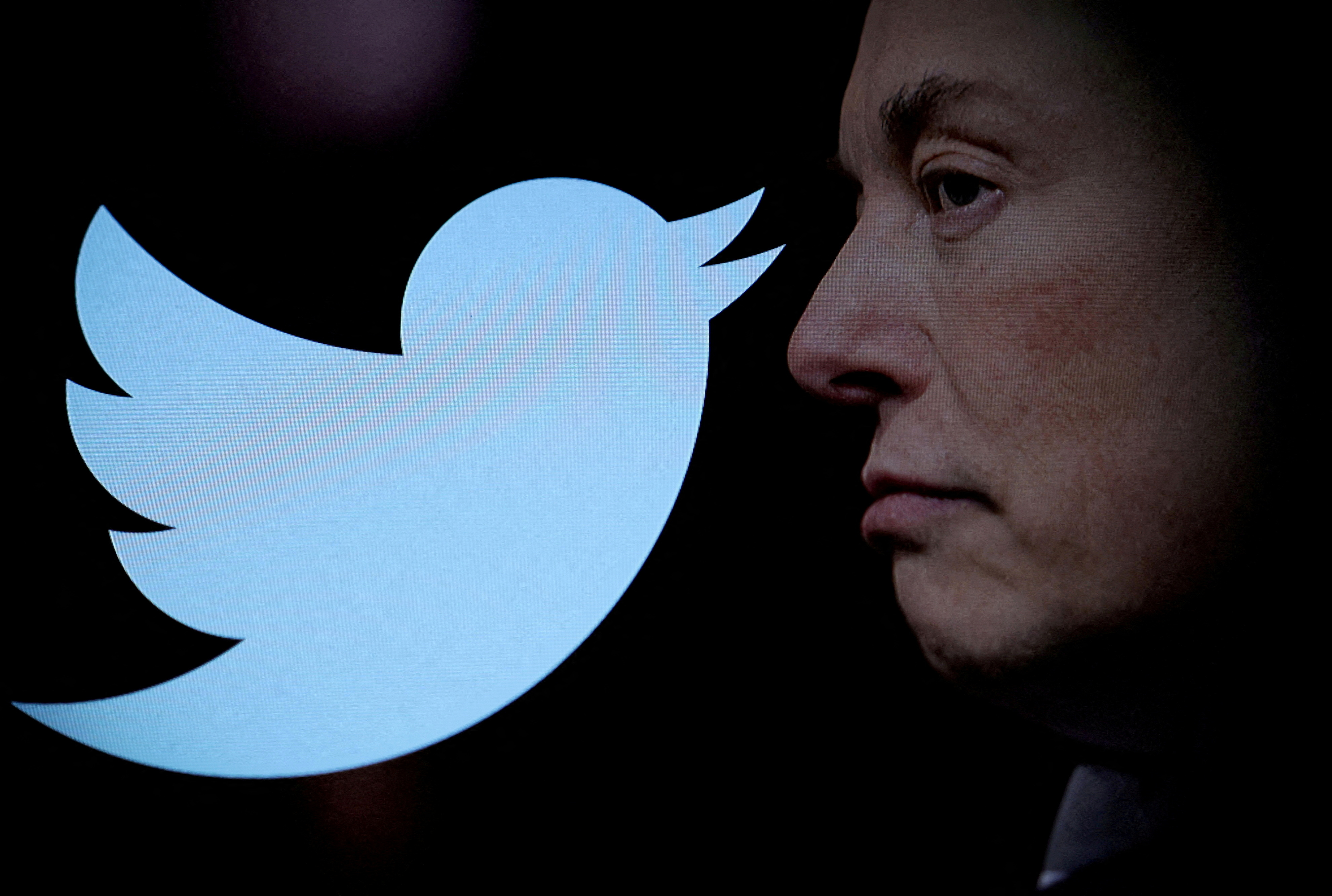 Elon Musk quiere  compartir sus ingresos de Twitter con los usuarios