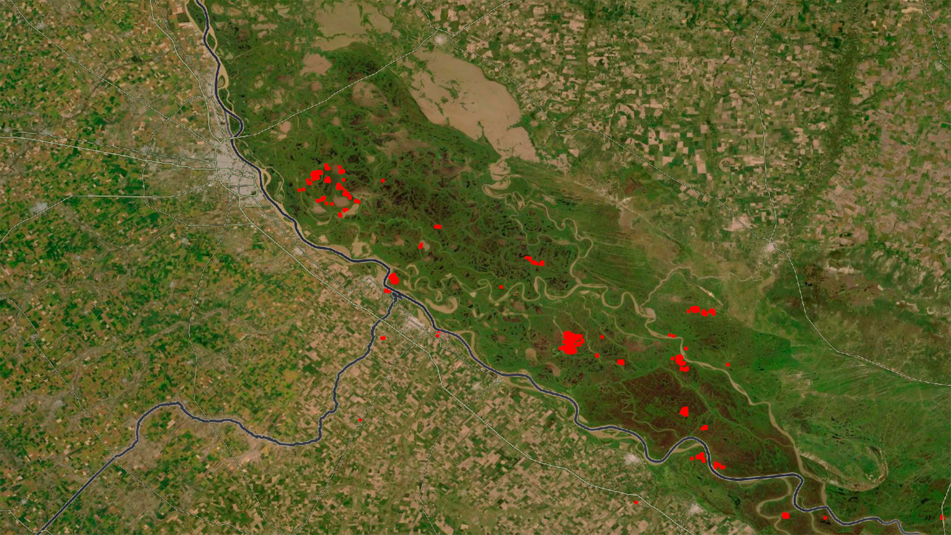 En rojo, los incendios sobre el Delta del Paraná al sur de Rosario según el sistema de información satelital FIRMS de la NASA
