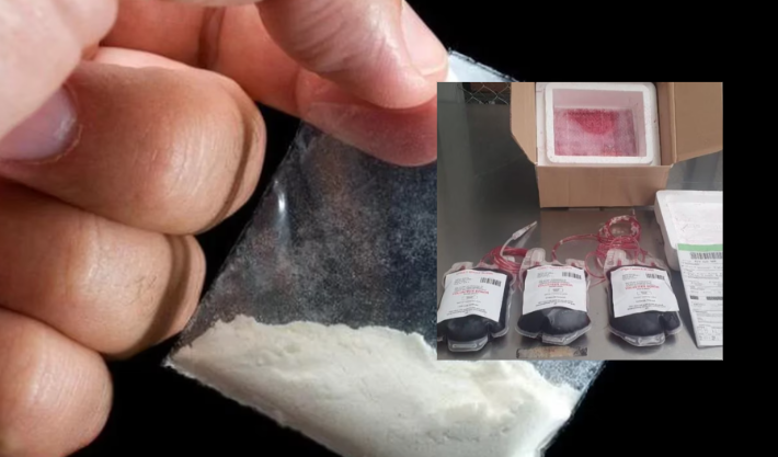 Mezclada con sangre pretendían enviar cocaína desde Colombia a Países Bajos