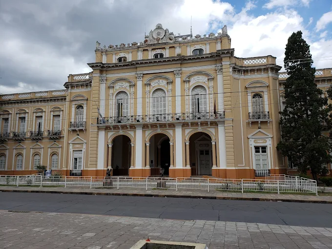 La leche de almendras bajo la lupa de la ciencia: el impacto ambiental y el dato poco conocido sobre las abejas