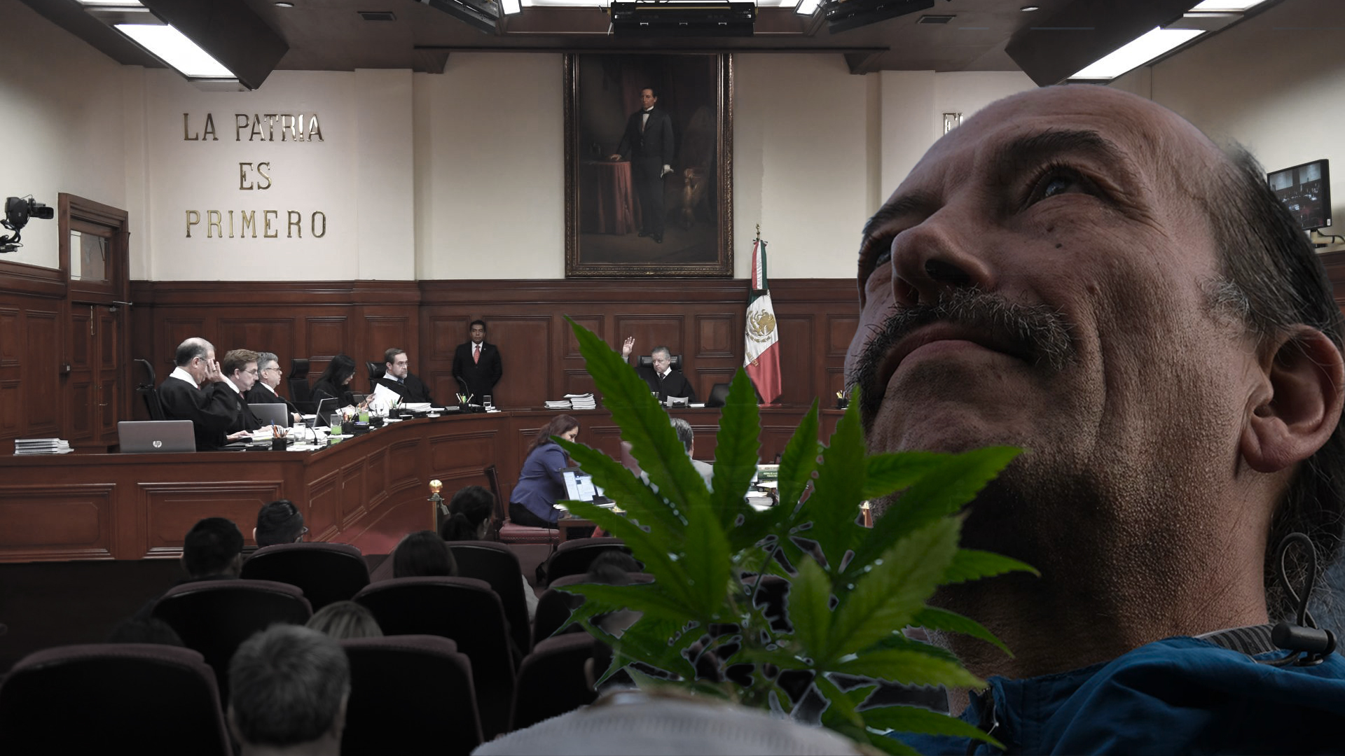 Se trata de la cuarta prórroga que otorga la Corte al Congreso para que legisle el tema de la despenalización de la marihuana (Foto: Steve Allen/ Infobae México)