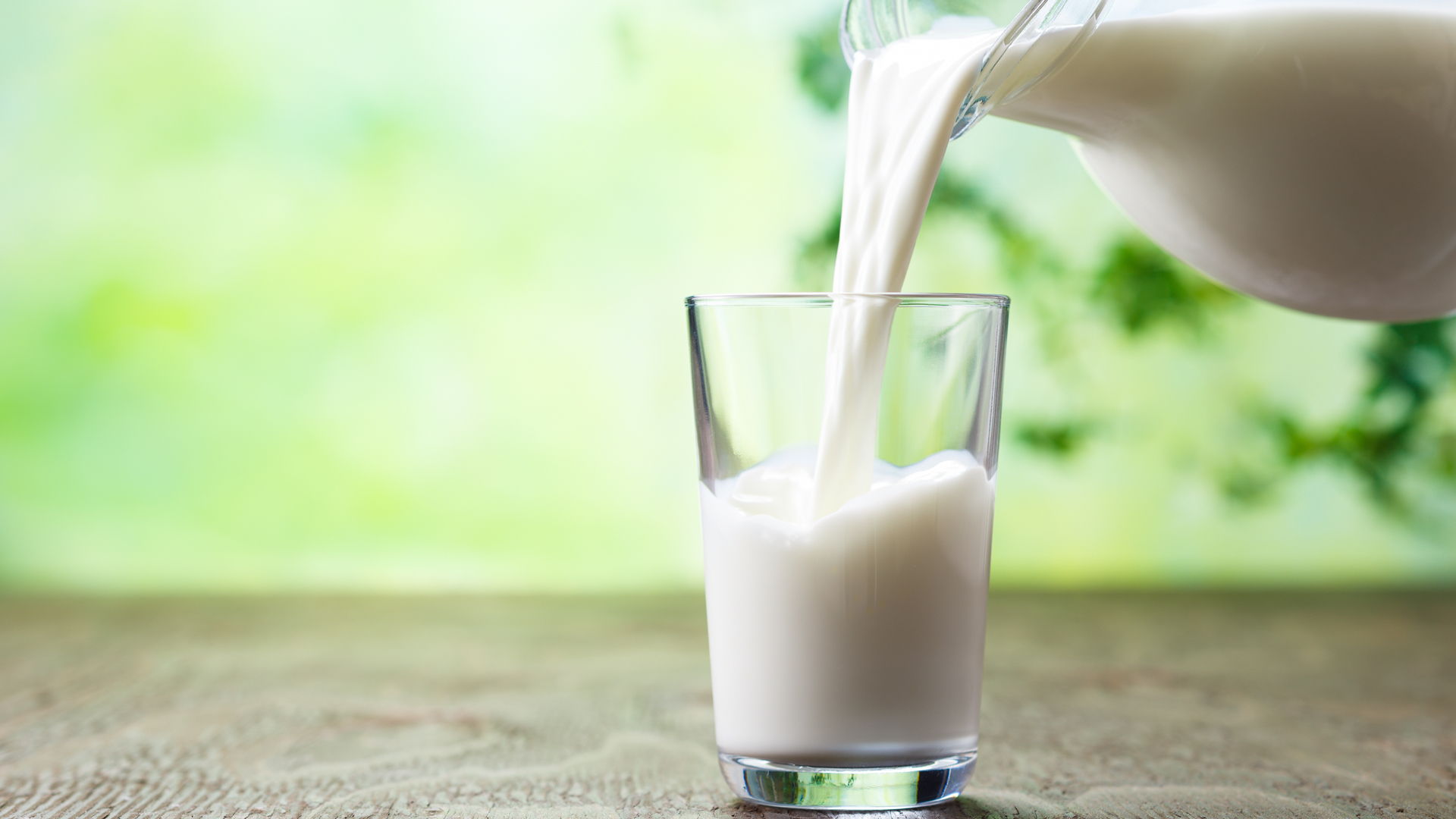 La leche es uno de los alimentos más completos, pero la ciencia avanza hacia mejoras que permitan optimizarla aún más
(iStock)
