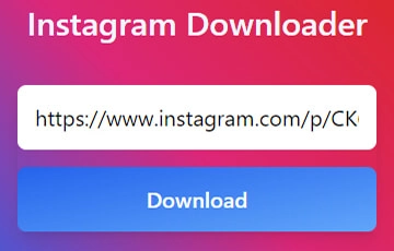 IG Downloader. (foto: Instagram video downloader)