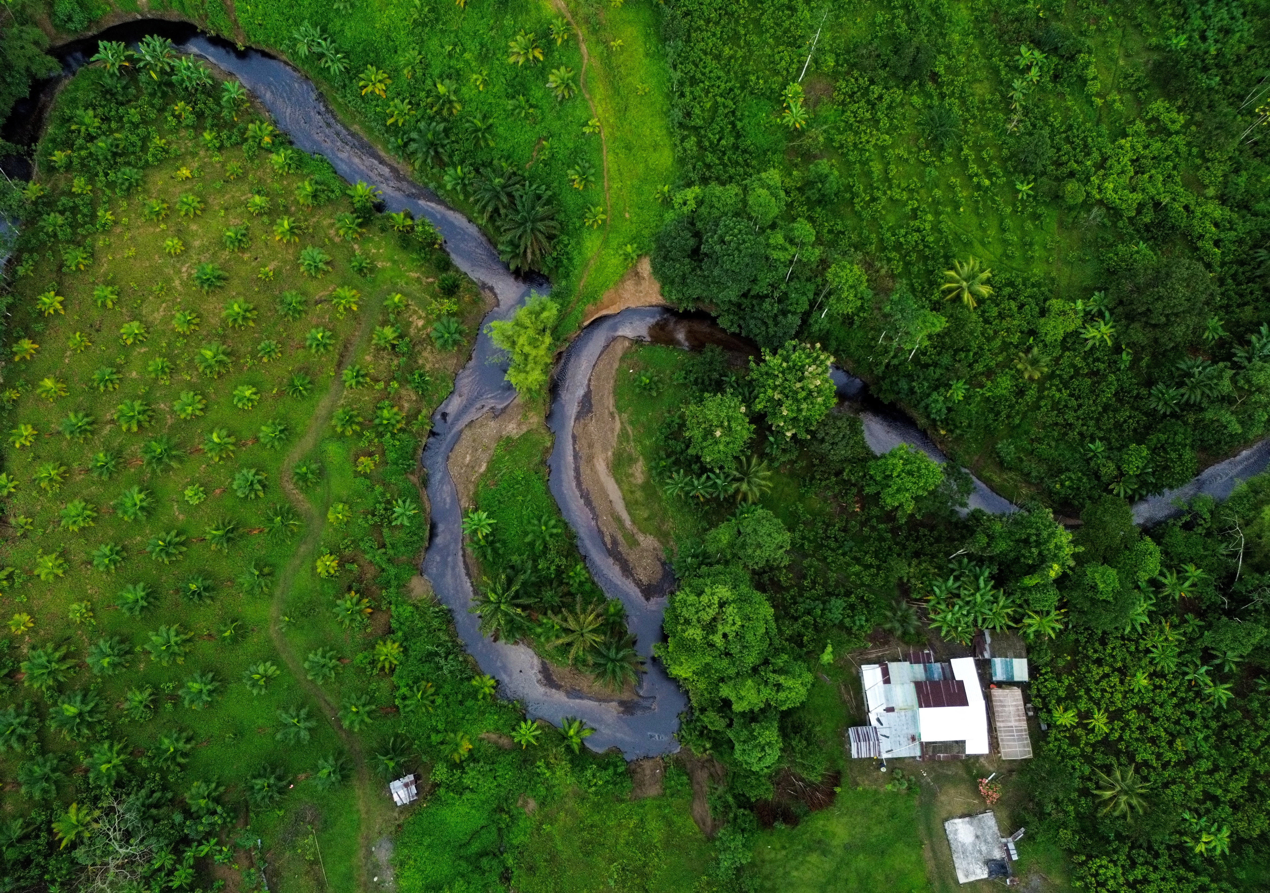 Ecuador declaró la emergencia medioambiental por el derrame de crudo que está causando “daños sin precedentes”