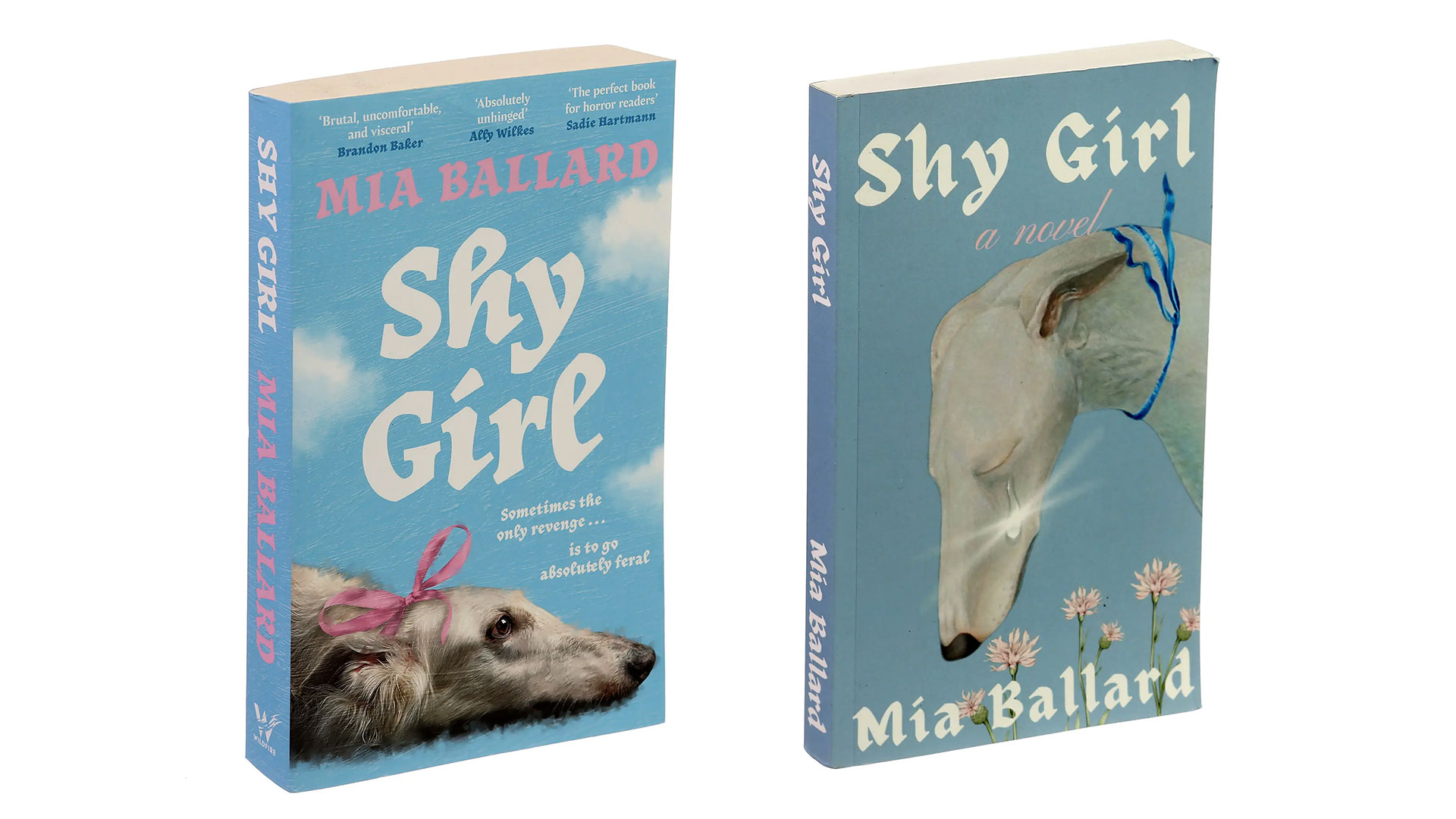 Robaron en otra empresa de Santa Fe: cortaron la luz y se llevaron $12 millones