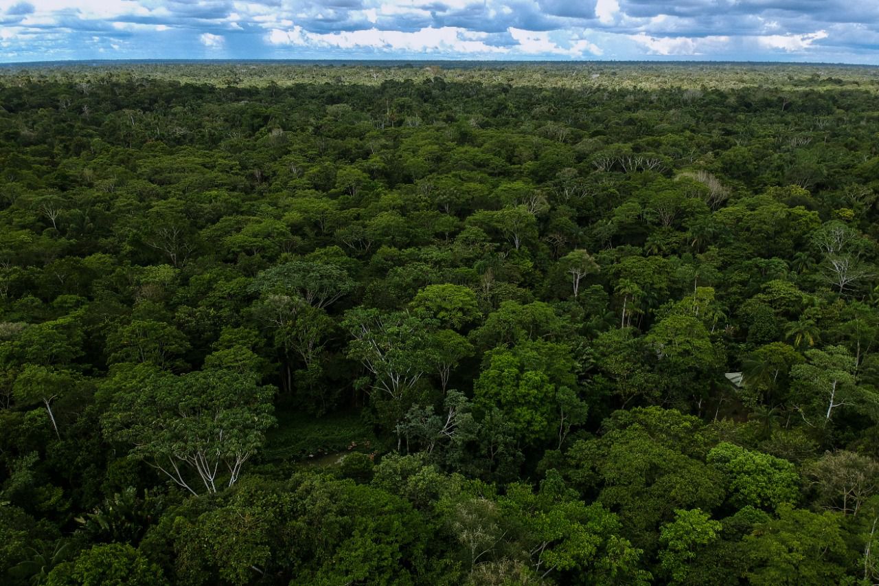 Colombia, así como es uno de los países más biodiversos del mundo, también es uno de los que menos presupuesto otorga al sector del medioambiente.