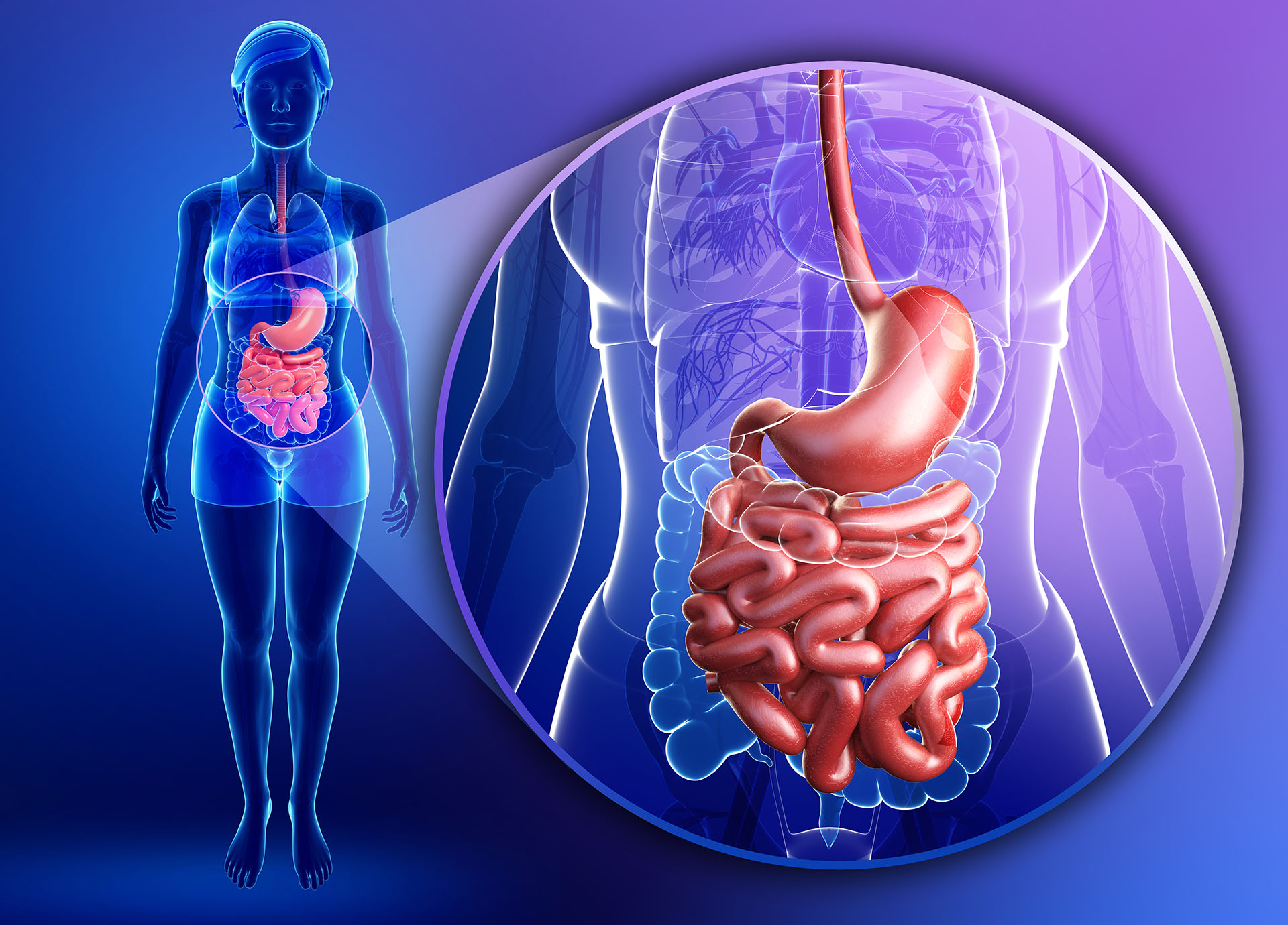 La incidencia de las enfermedades intestinales inflamatorias ha crecido en todo el mundo (Getty)