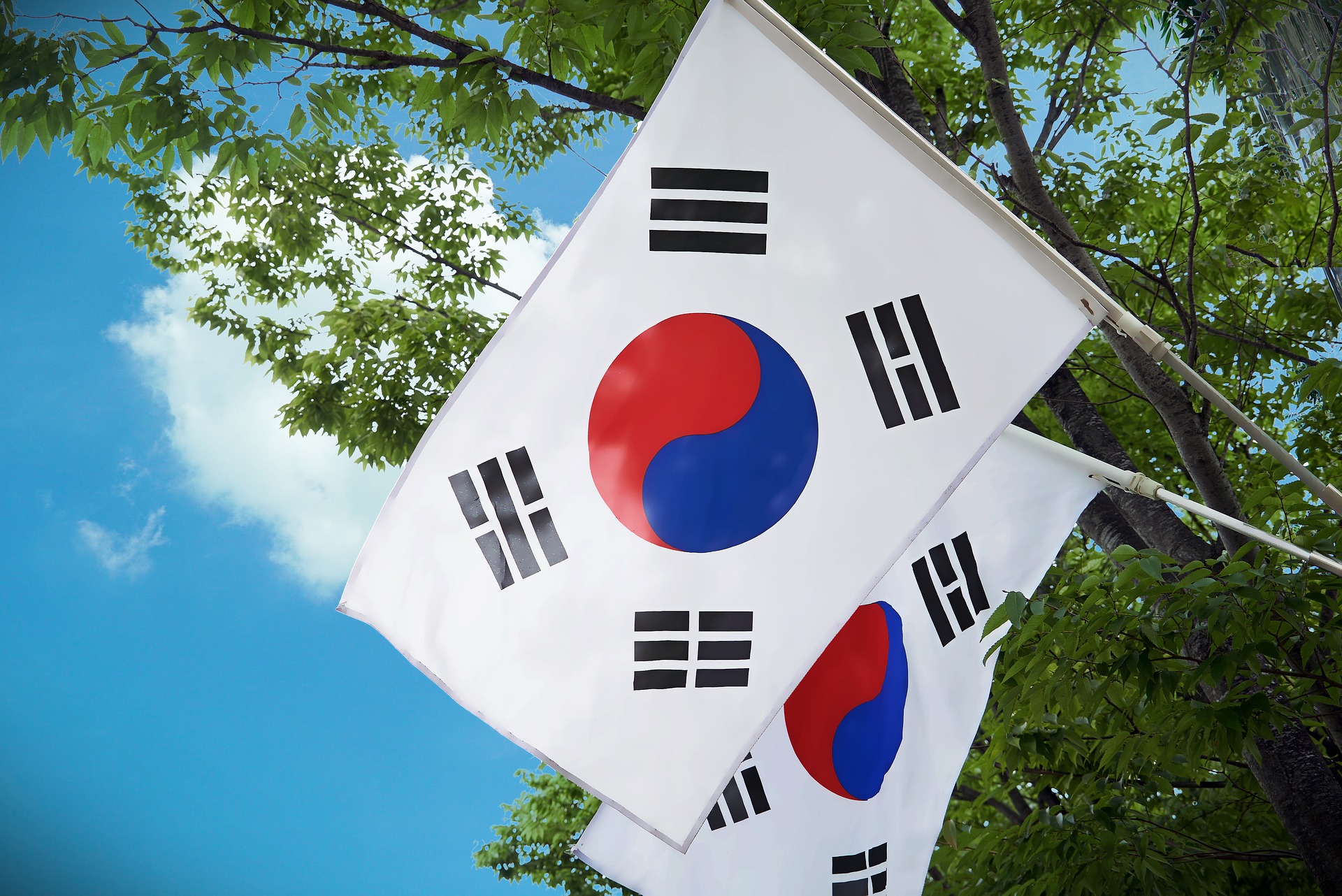 La Bandera de Corea del Sur