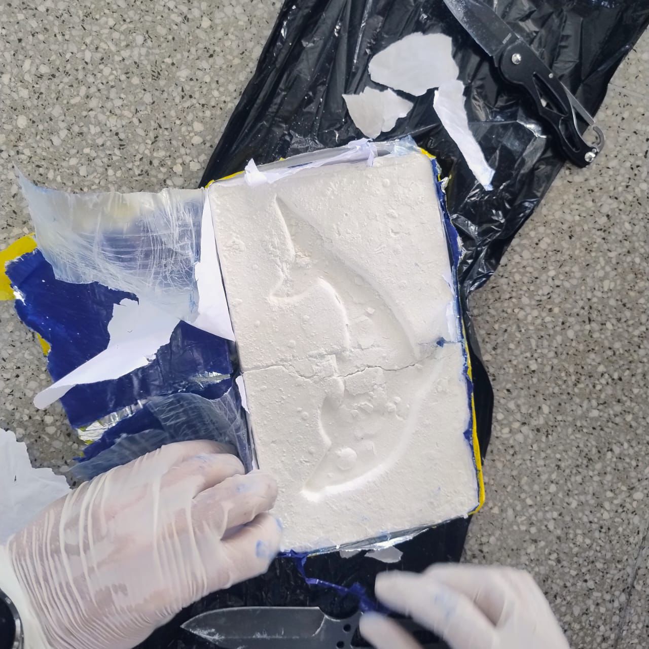 Causa AMIA: el fiscal Basso aseguró que 