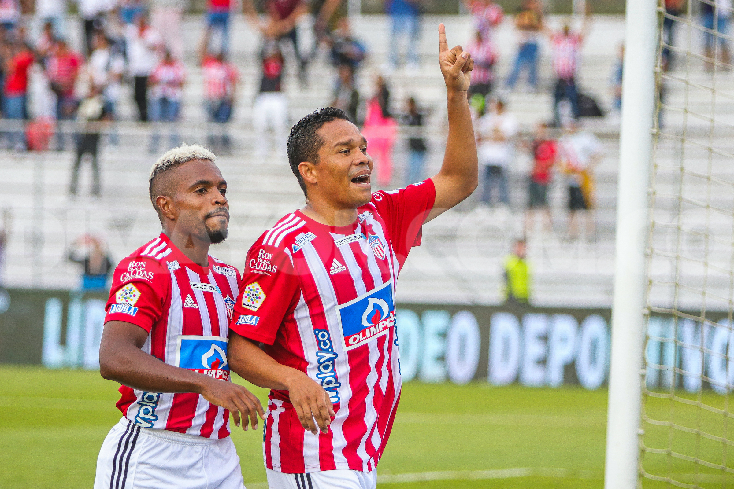 Carlos Bacca anotó el gol del empate del Junior ante Águilas Doradas en la primera jornada de la Liga Betplay. Dimayor.