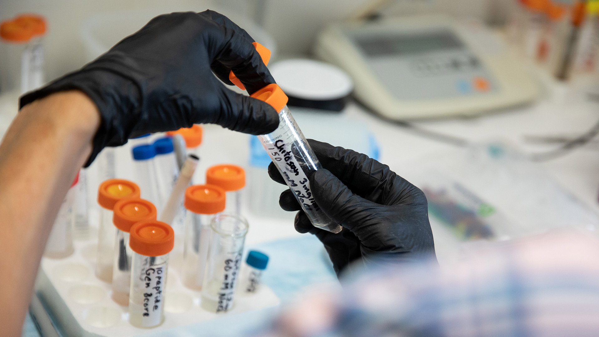 El Gobierno acordó declarar por DNU la Emergencia Ígnea para las provincias afectadas por los incendios en el sur