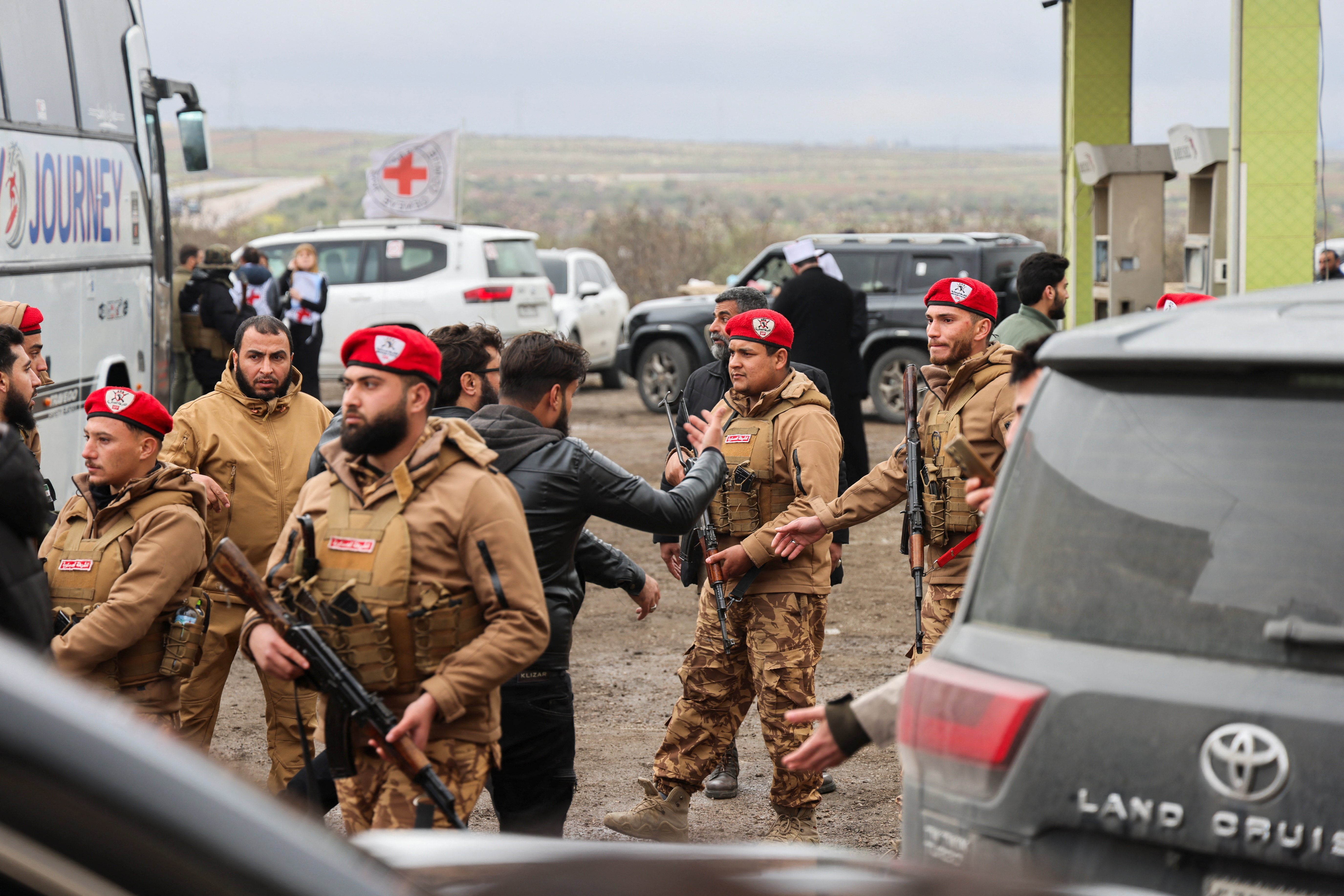 Rescataron al “Punch cordobés”: un mono tití estaba fuera de su hábitat y lo encontraron en una casa