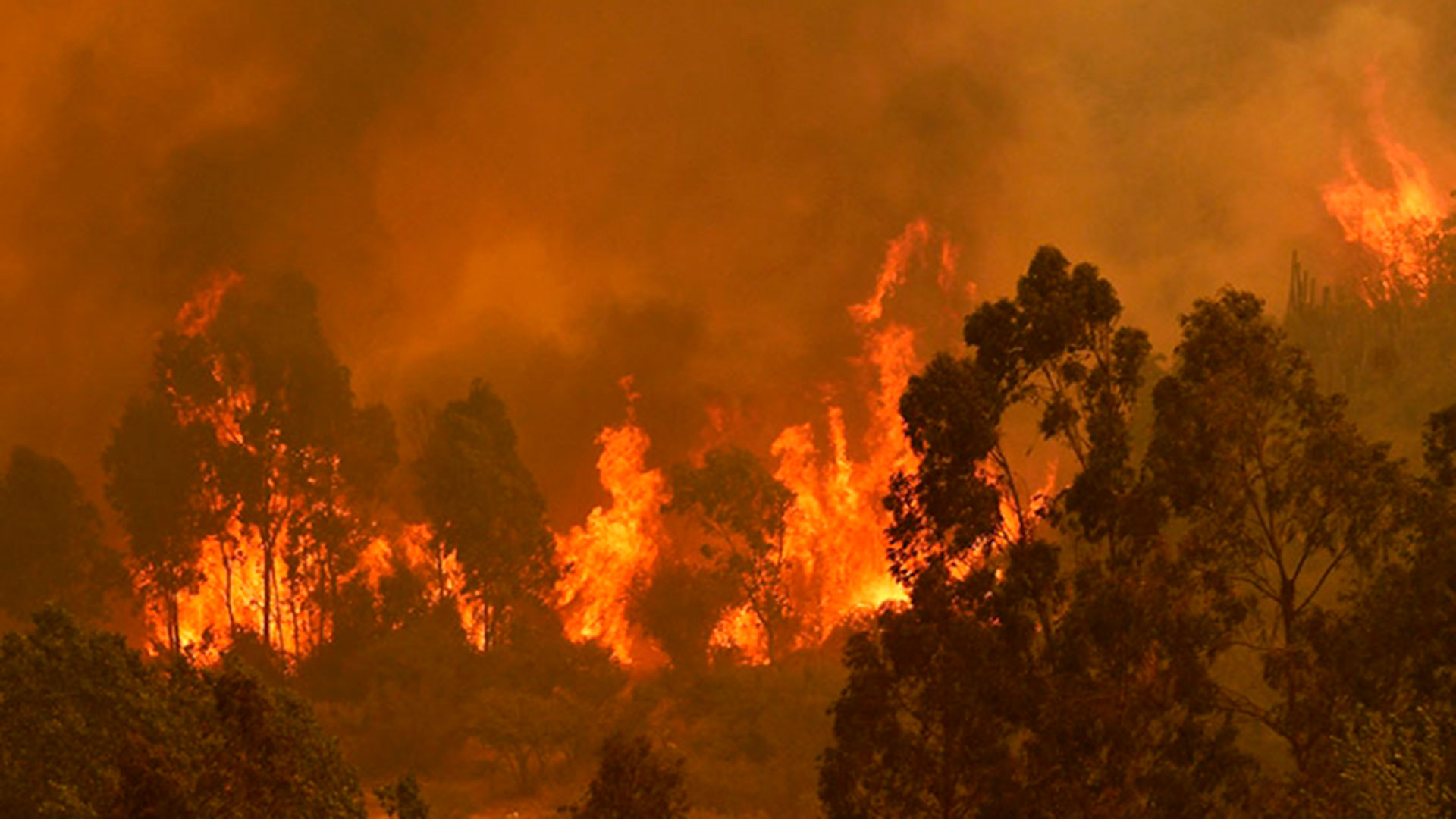 Incendios en la zona centro-sur de Chile.