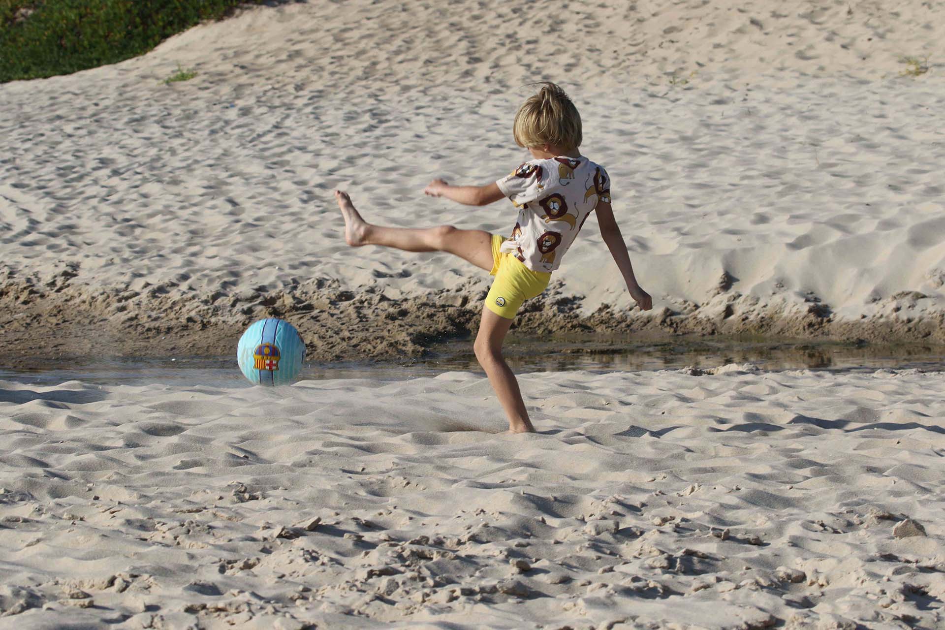 Mochi Andino, de cinco años, disfruta entretenido en la playa (RS Fotos)