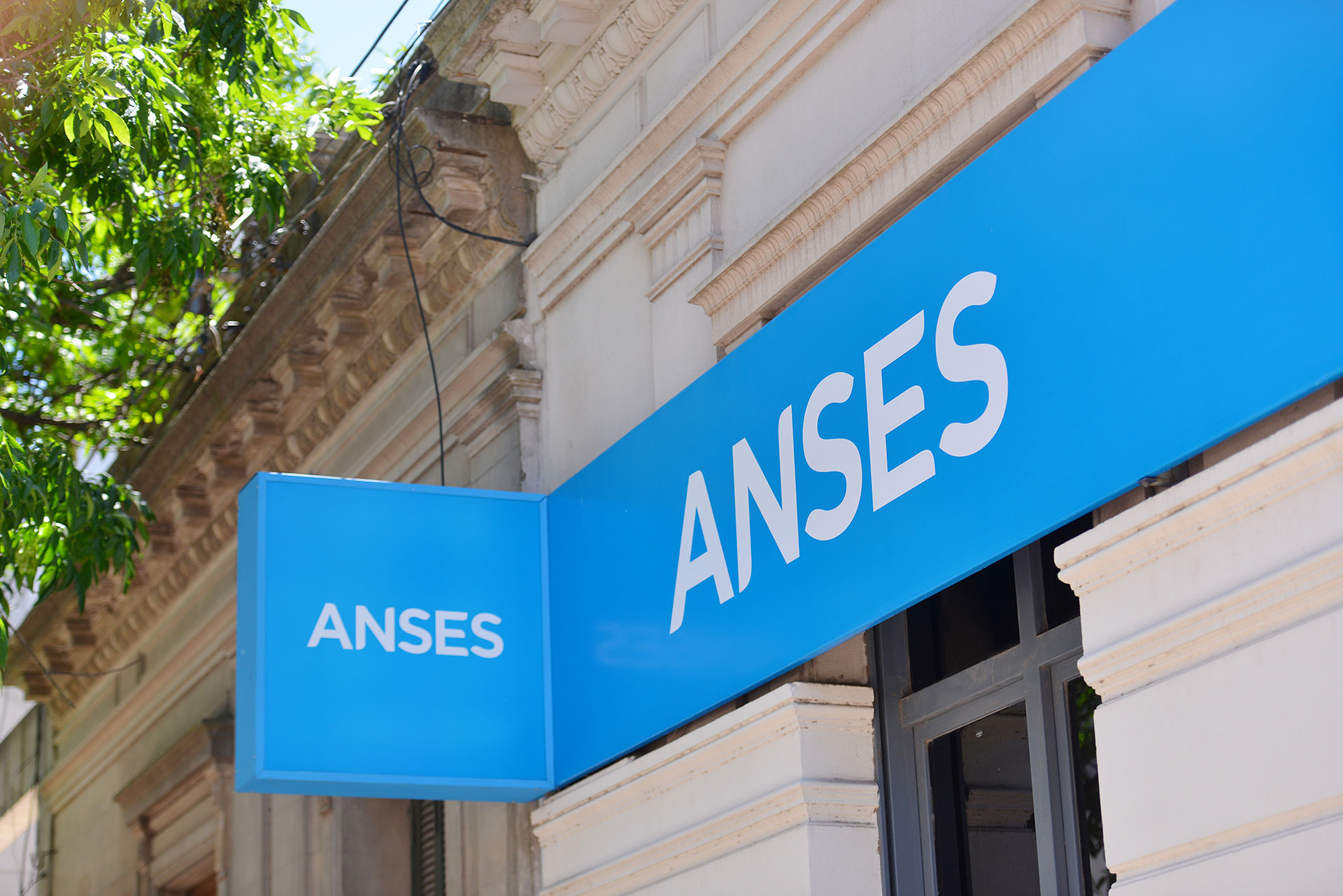 ANSES: cu&aacute;ndo cobro en junio 2026 si mi DNI termina en 3