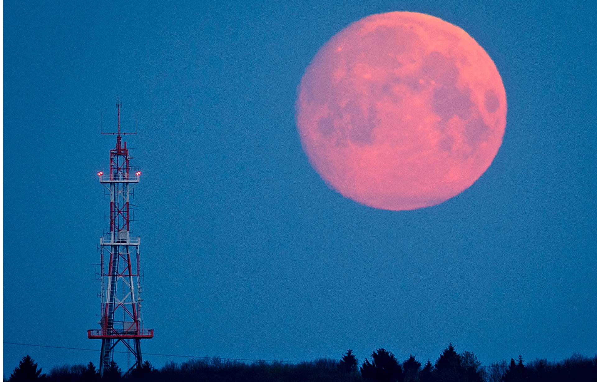 Pink Moon Learn All About This Astronomical Phenomenon That Can Be Seen In Colombia Infobae