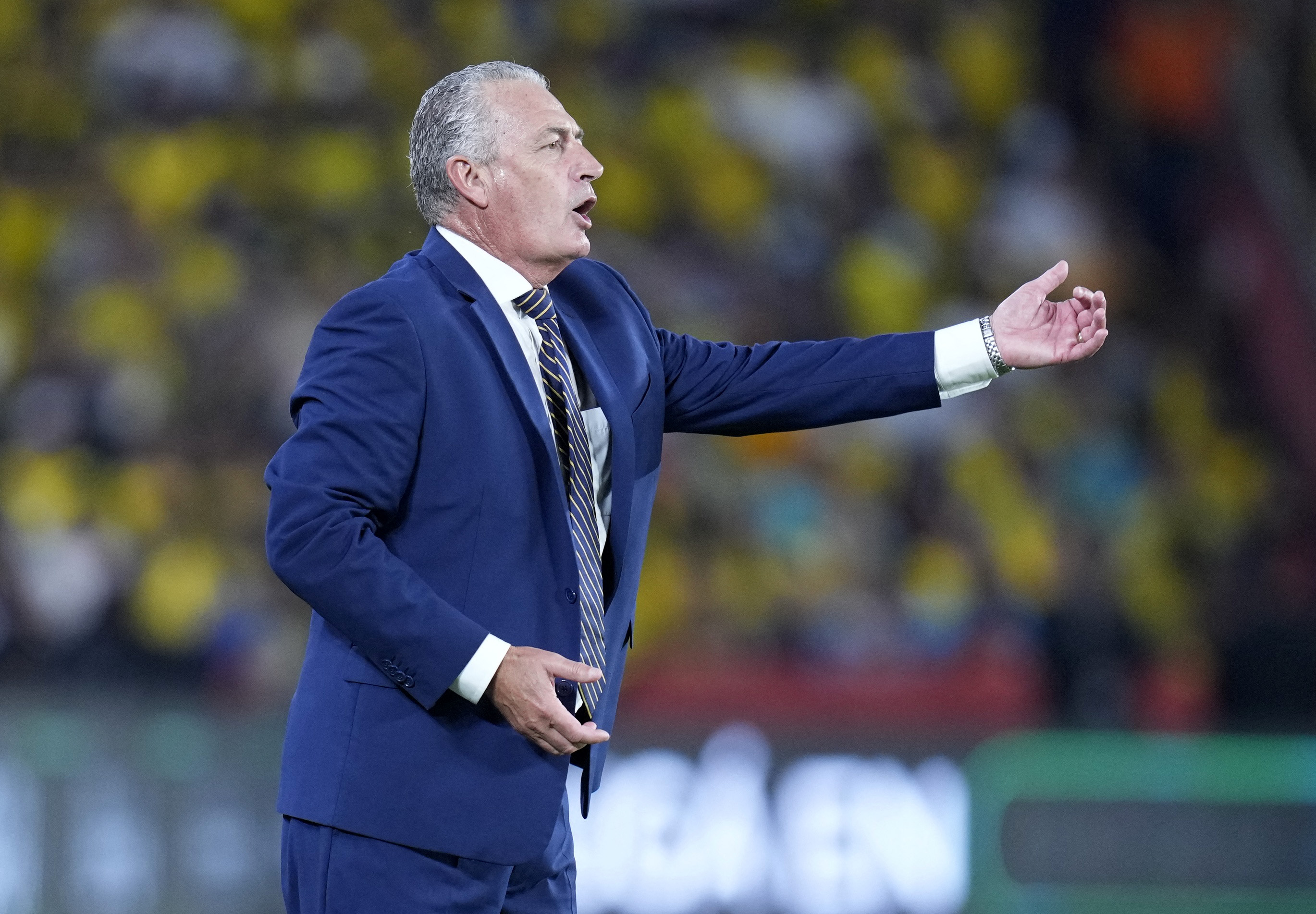 Gustavo Alfaro gave a euphoric speech in the middle of the field after the  match against Argentina: “They were hunters of impossible utopias” - Infobae