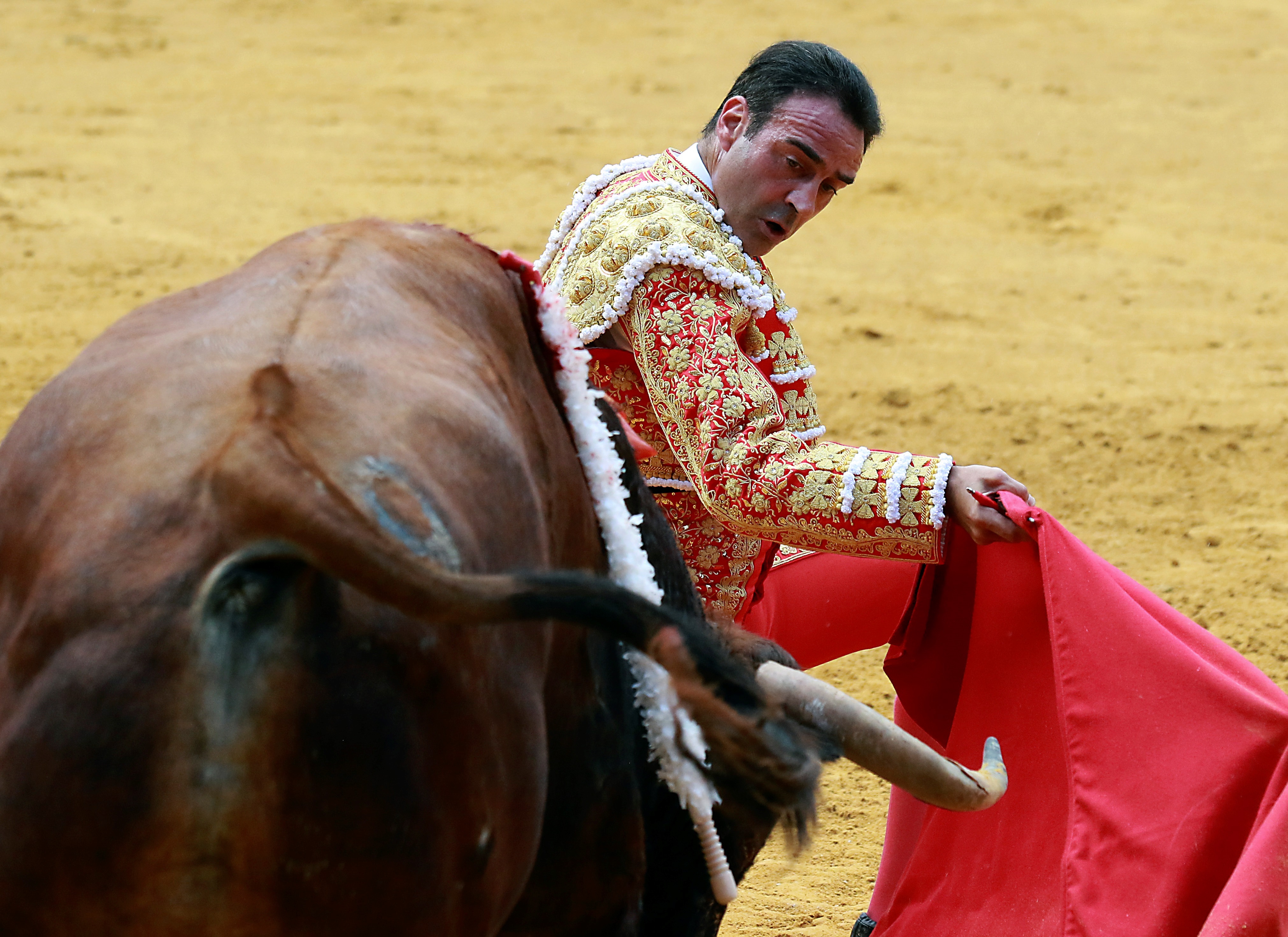 The right-handed Enrique Ponce gives a pass during the bullfighting fair for the Corpus Christi festival in Granada 2021. EFE/Pepe Torres/File