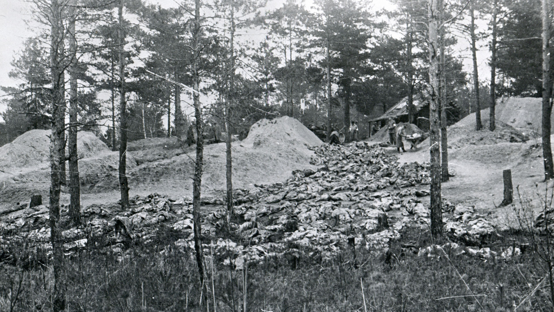 Matanza de polacos en los bosques de Katyn por los soviéticos en el año 1939