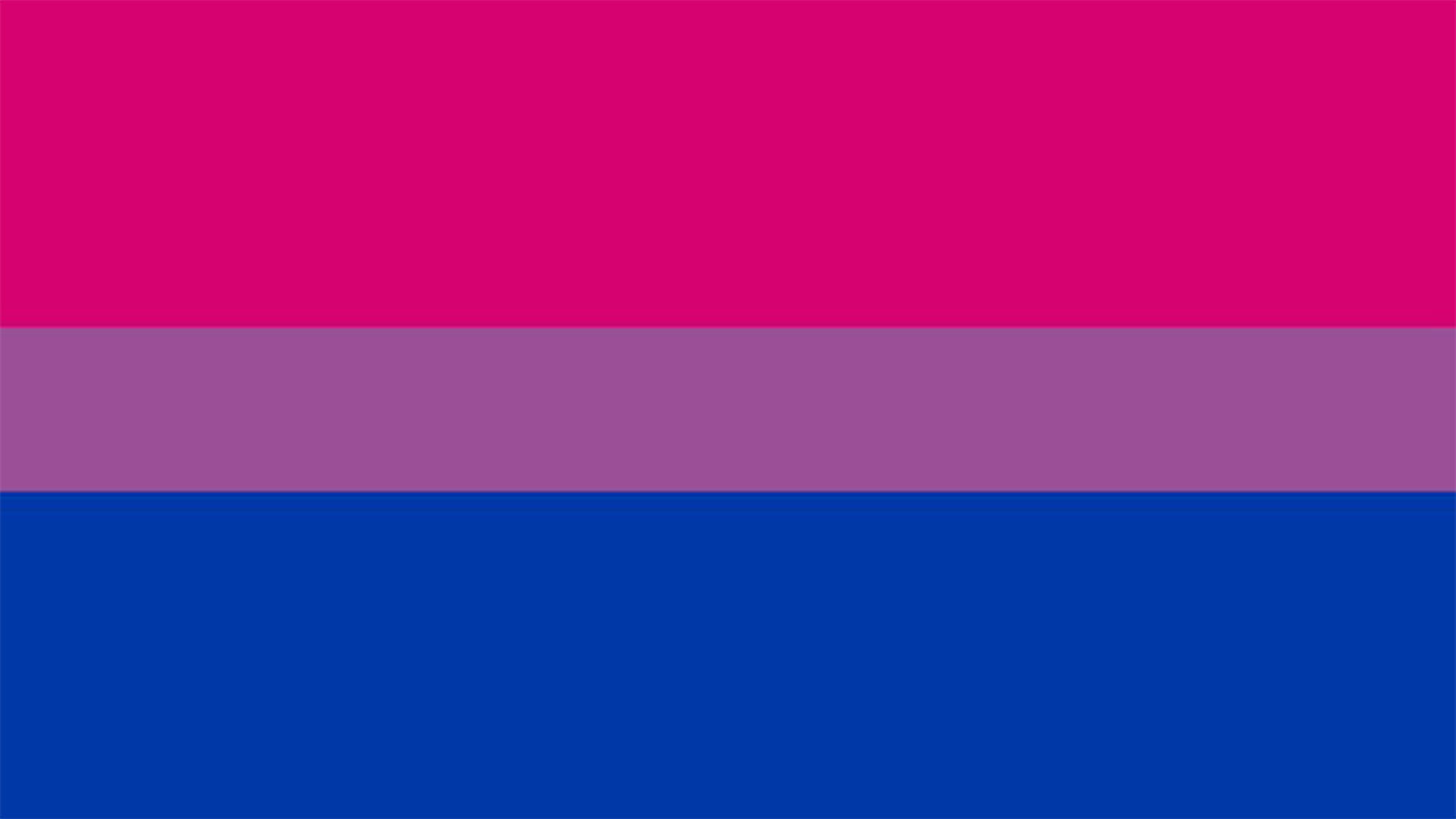 En la bandera el rosa representa la homosexualidad, el azul representa la heterosexualidad y el púrpura es la atracción por ambos géneros (Foto: Twitter@vergaloca)