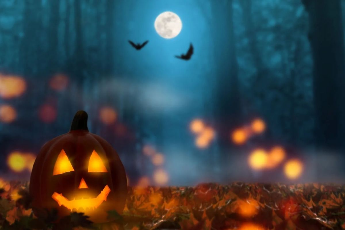 Halloween: 5 rituales efectivos y fáciles de realizar durante esta noche de  brujas - Infobae