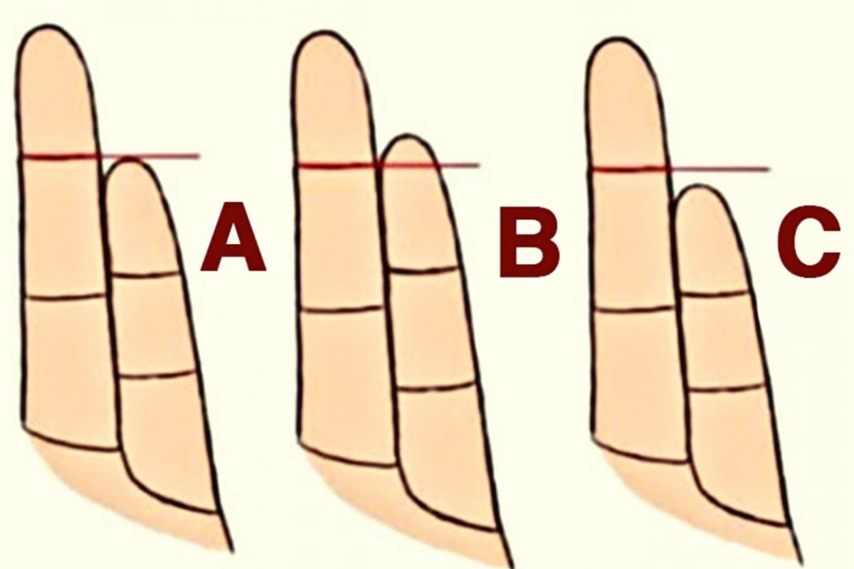De acordo com o comprimento dos seus dedos o que você seria em