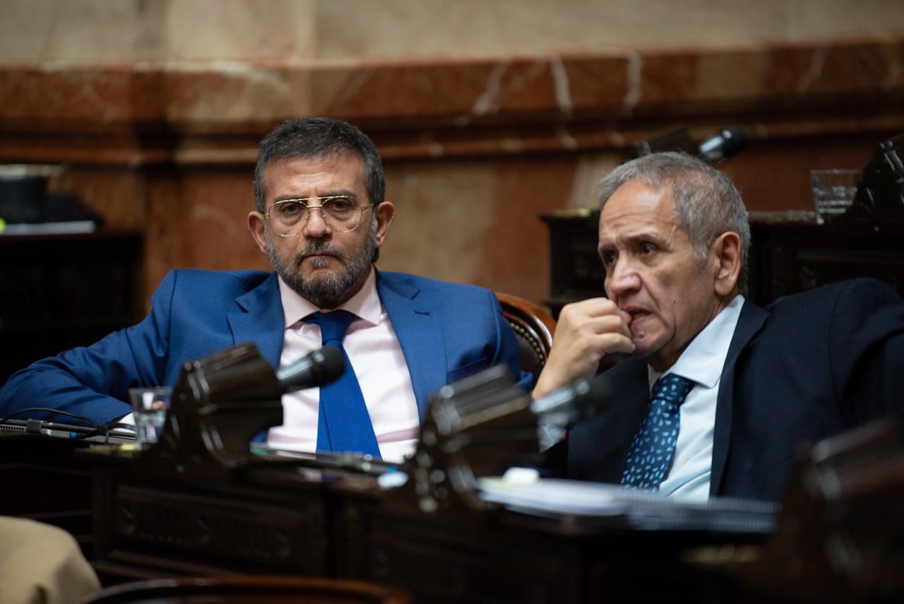 "Therians que se autoperciben leones": la ins&oacute;lita definici&oacute;n de un diputado durante la sesi&oacute;n de Adorni