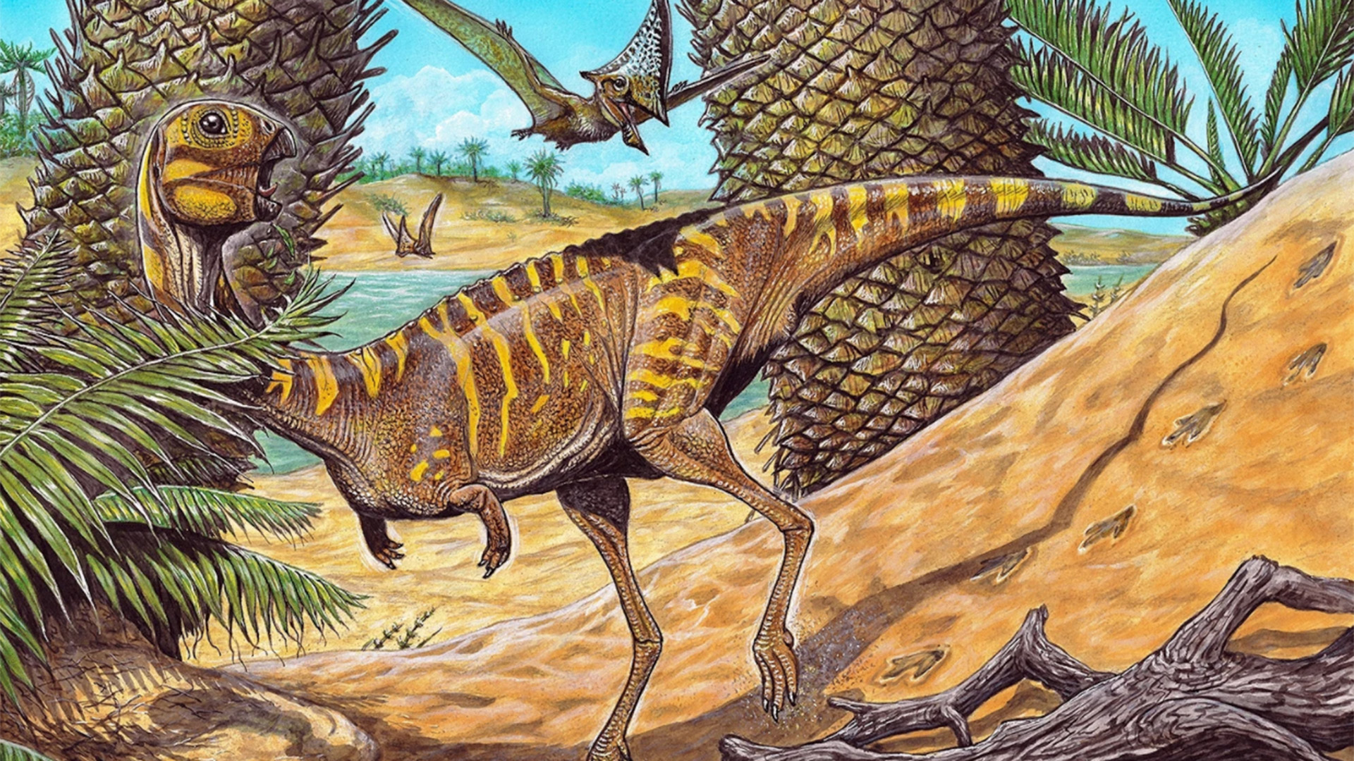 Representación del "Berthasaura leopoldinae", un dinosaurio de aproximadamente un metro de largo y 80 centímetros de alto en Brasil (MUSEO NACIONAL UFRJ)