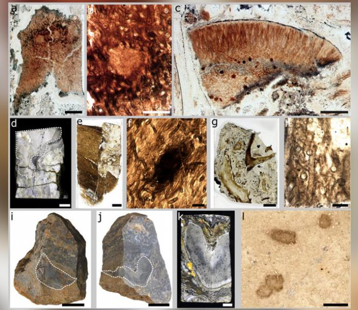 Cristina Fernández vuelve a la actividad política y en febrero el kirchnerismo iniciará una campaña por su liberación 
