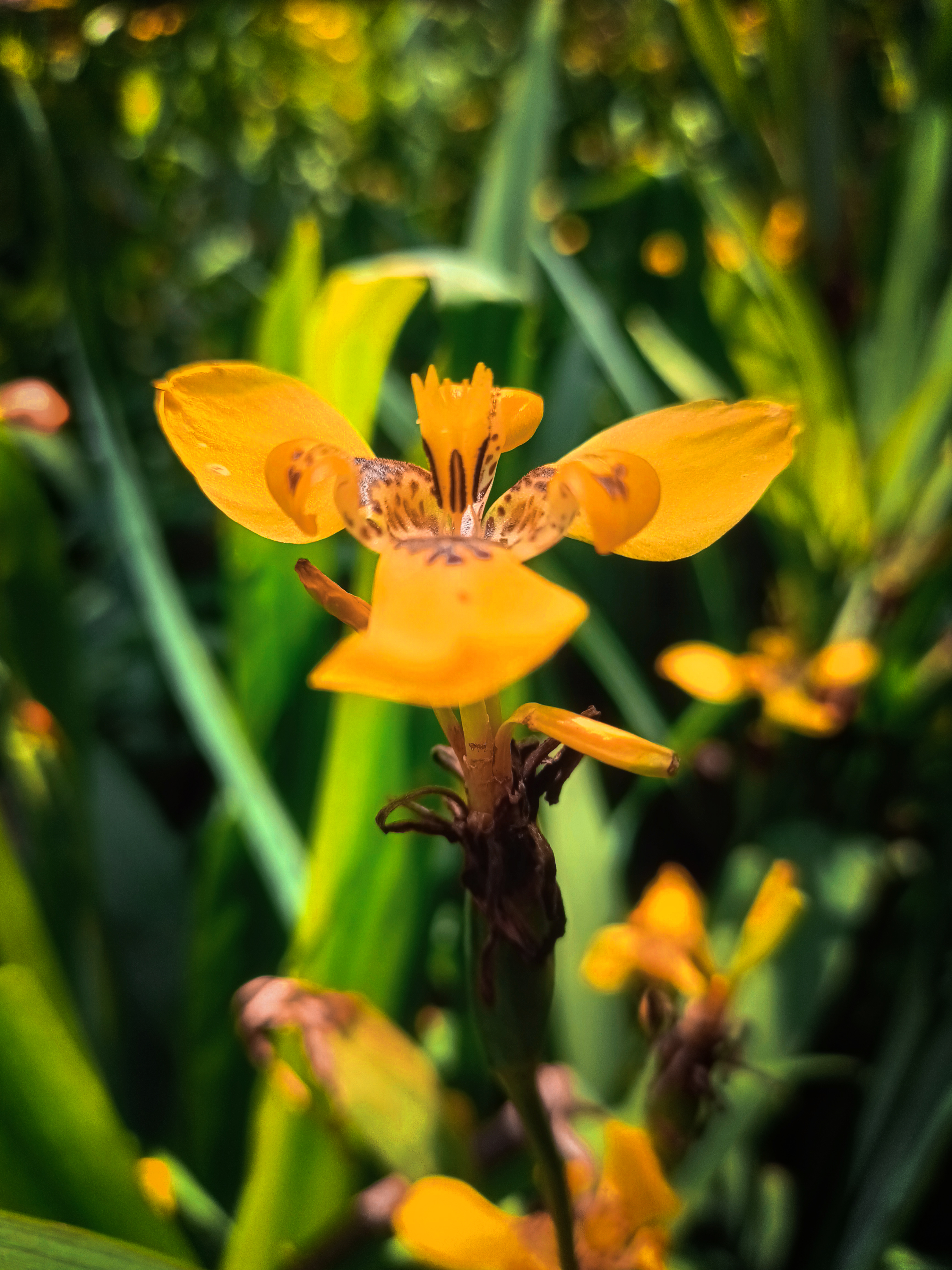 Esta fue una fotografía que se realizo con el nuvo OPPO Reno7