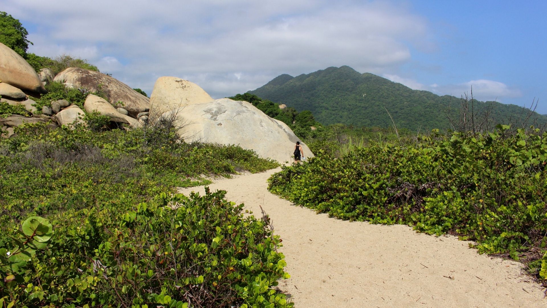 Sendero de Cañaveral hasta cabo San Juan, Parque Nacional Natural Tayrona. Foto: María José Cogollo M.